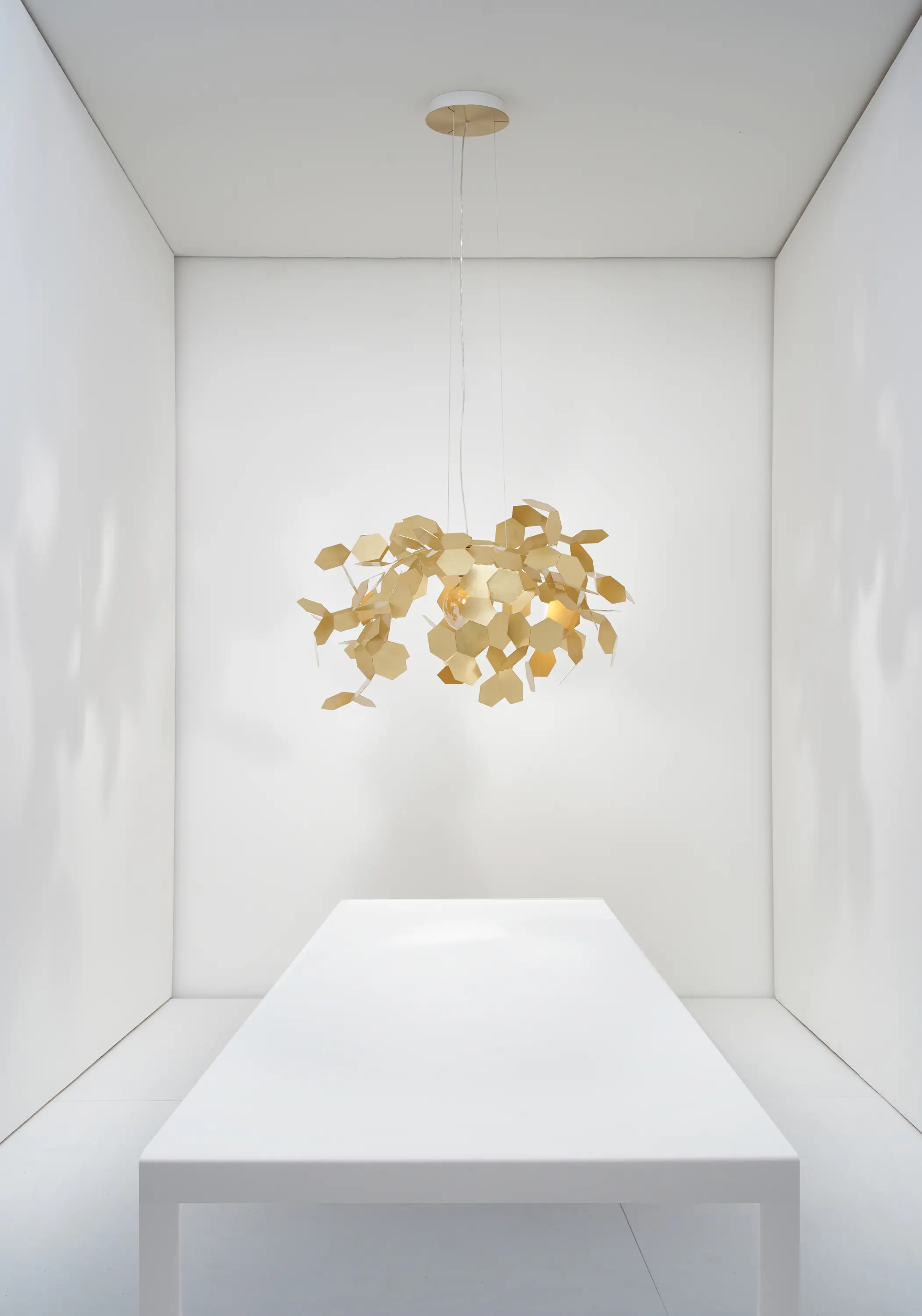 Zava Srl - Andromeda | Suspension