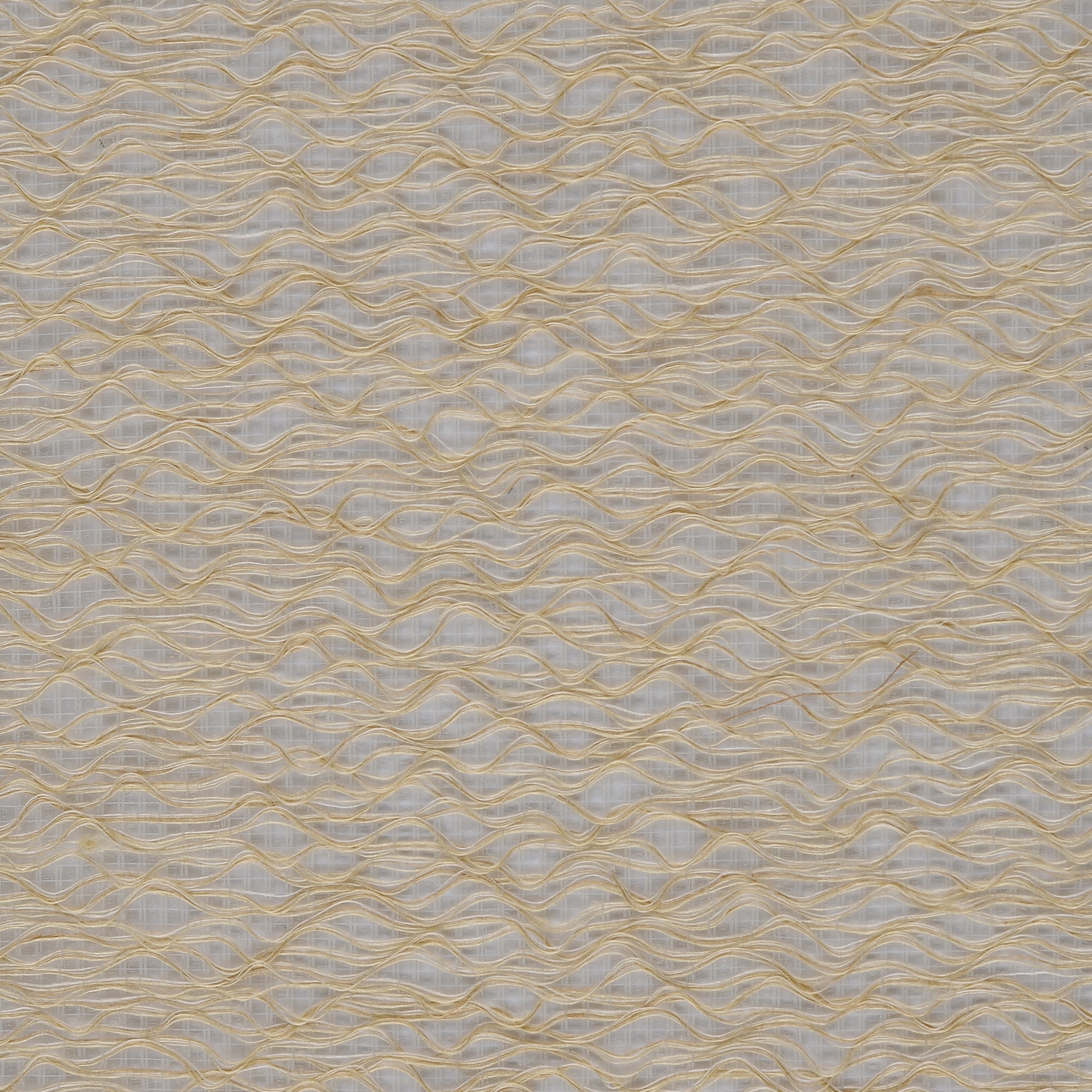 Zen / Bern
