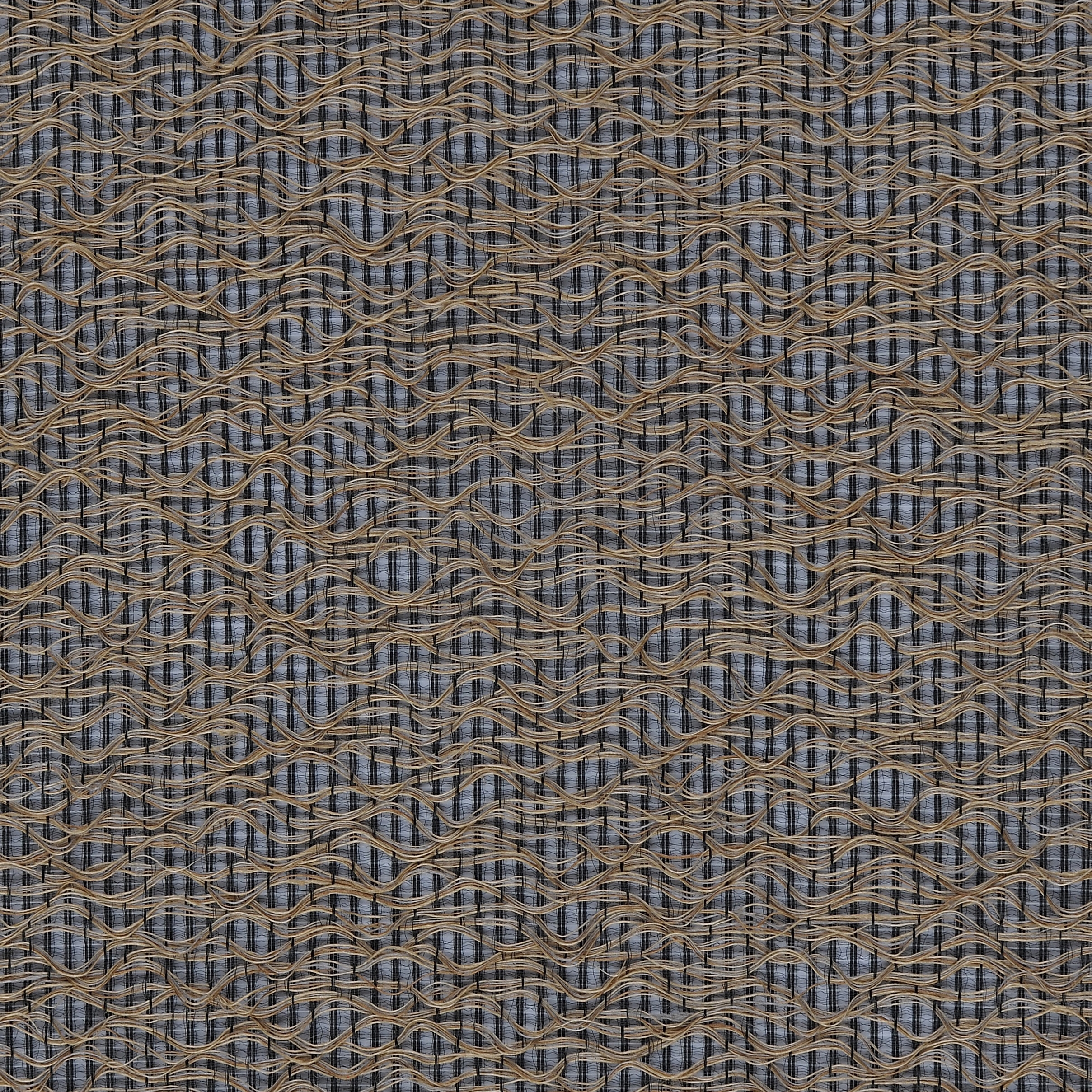 Zen / Bern