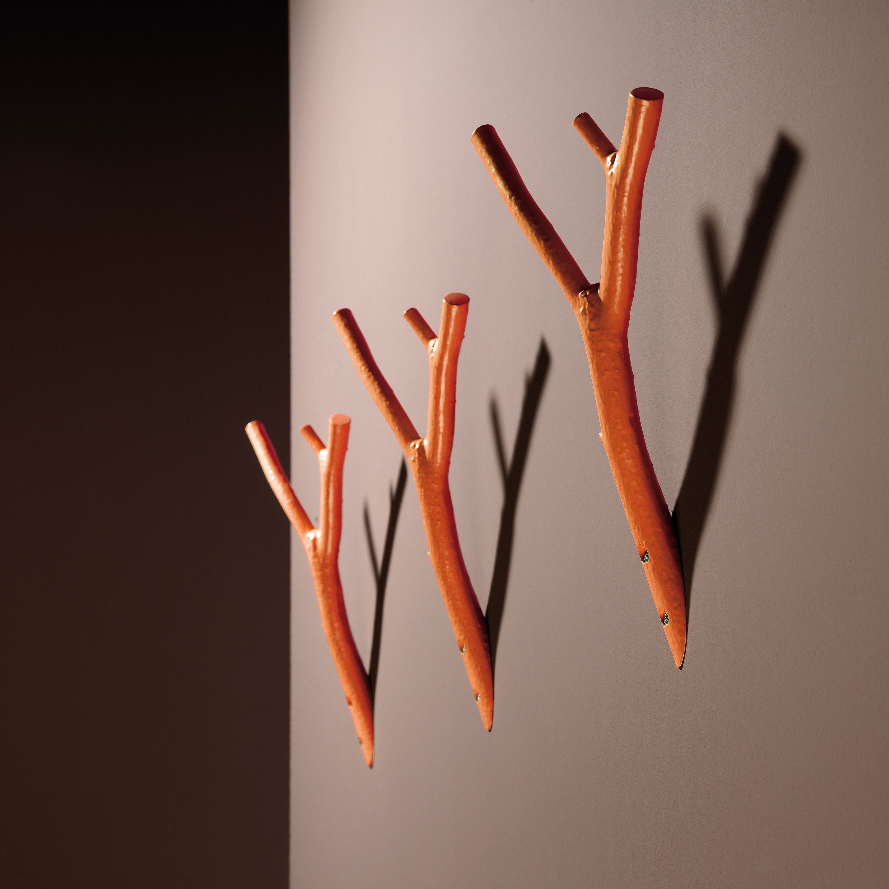 Display product Ast from manufacturer rosconi