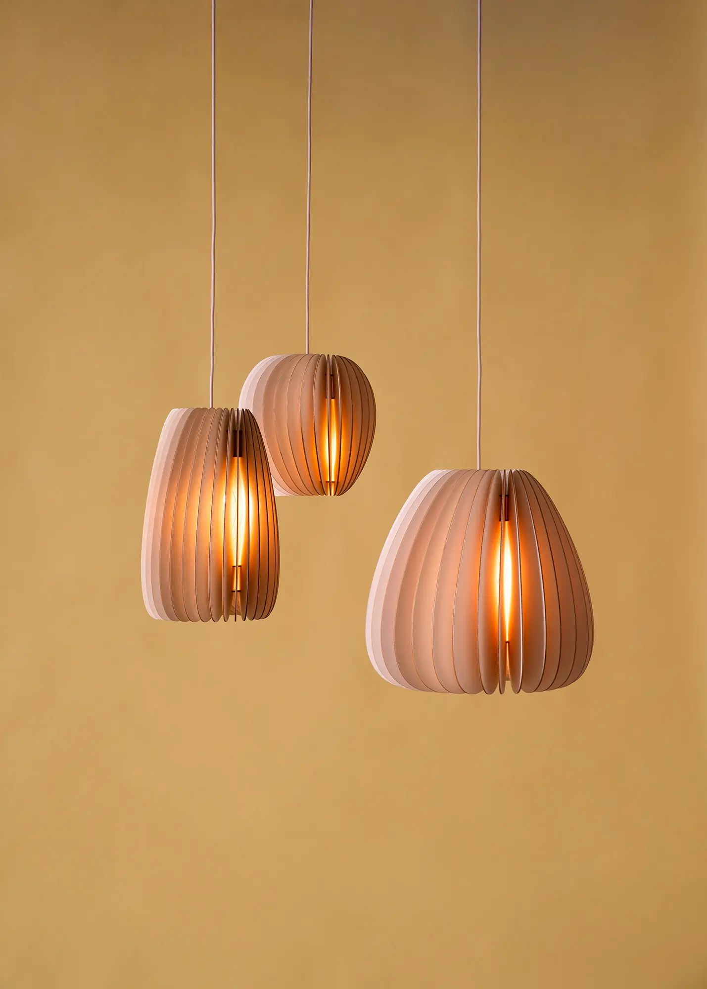 SCHNEID STUDIO - Serie A “Volum”