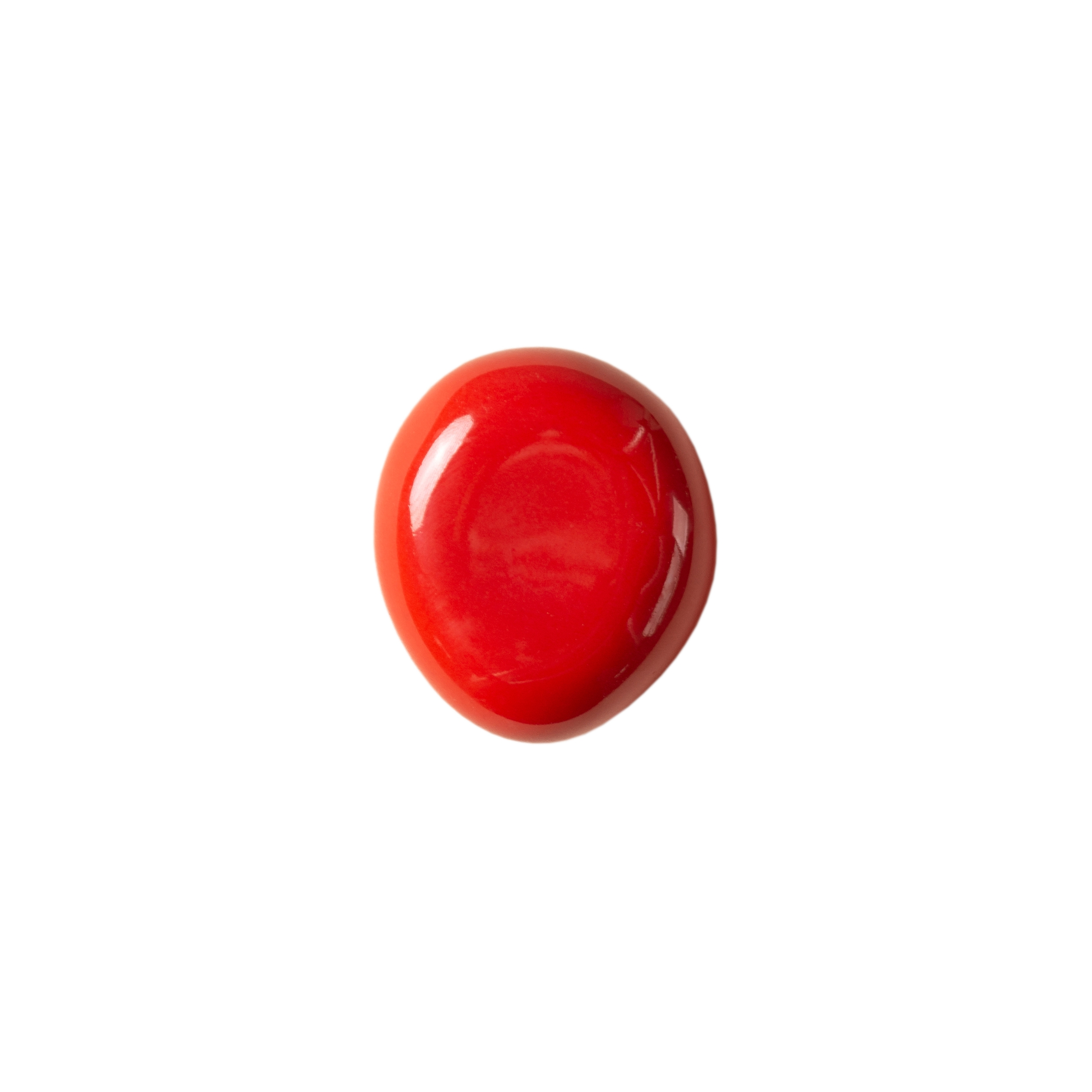 Mostrar el producto Fossil Wall Hook - The Pebble del fabricante SCHNEID STUDIO