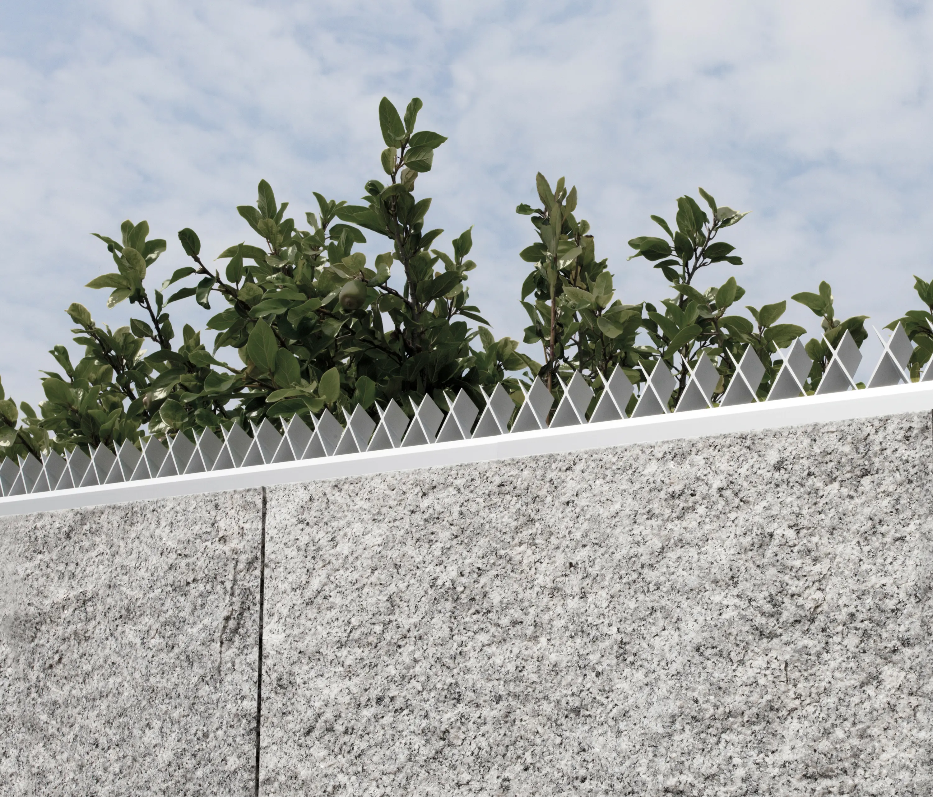 Morita Aluminum - AG