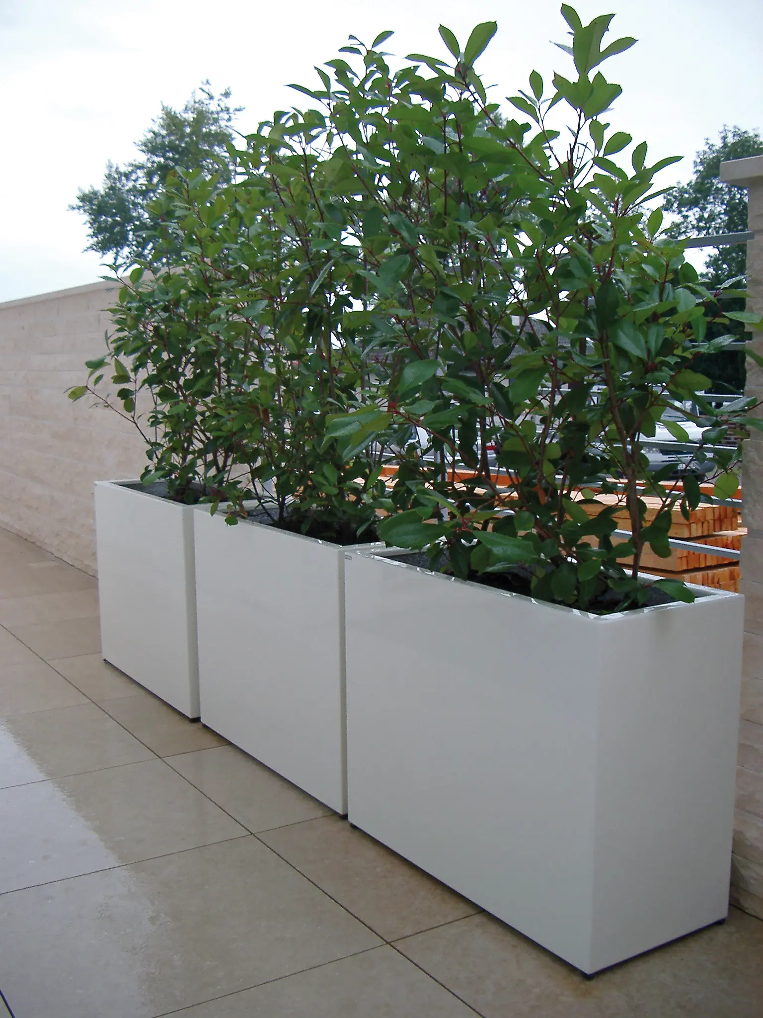 Gartensilber - Quader