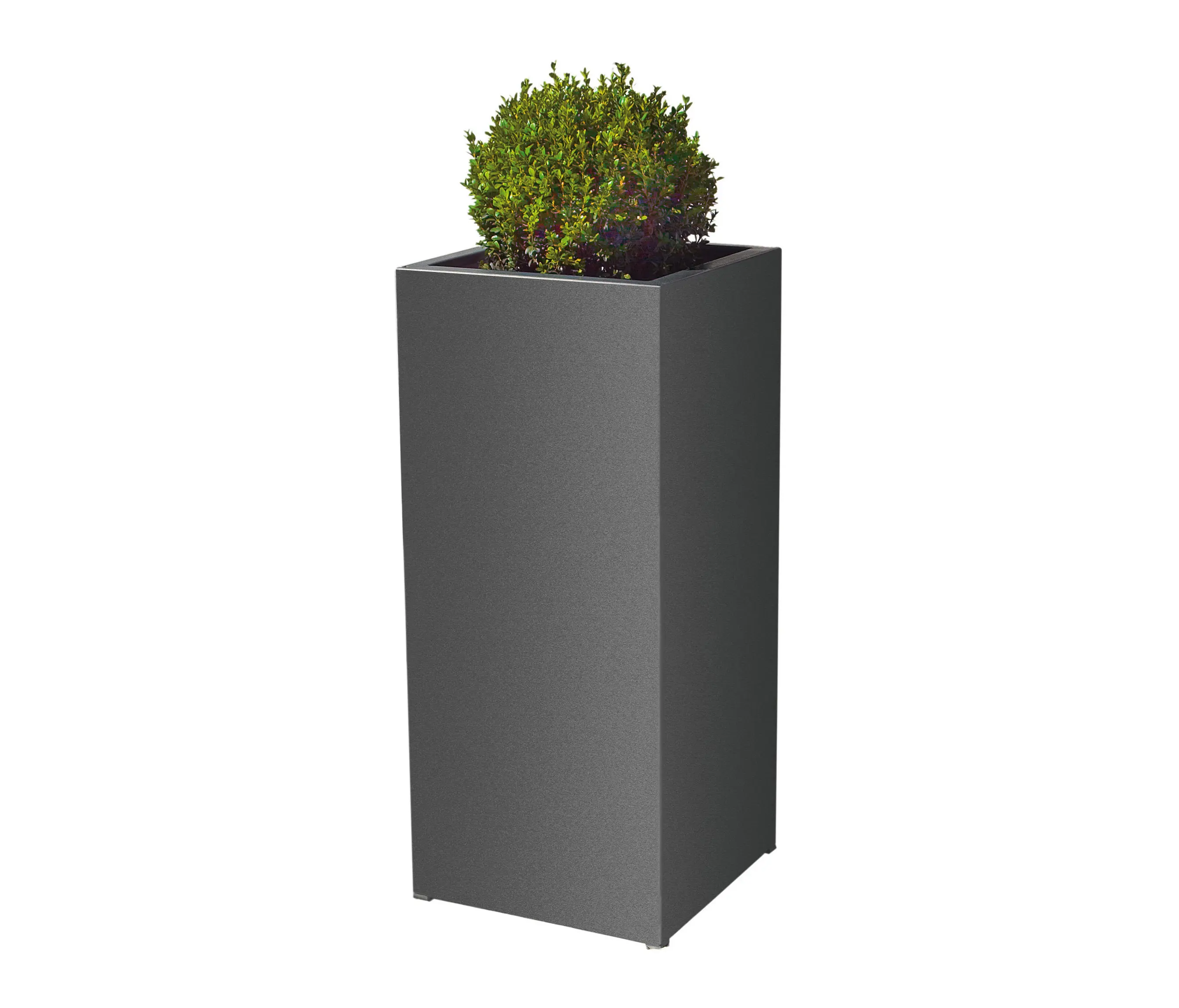 Gartensilber - Säule