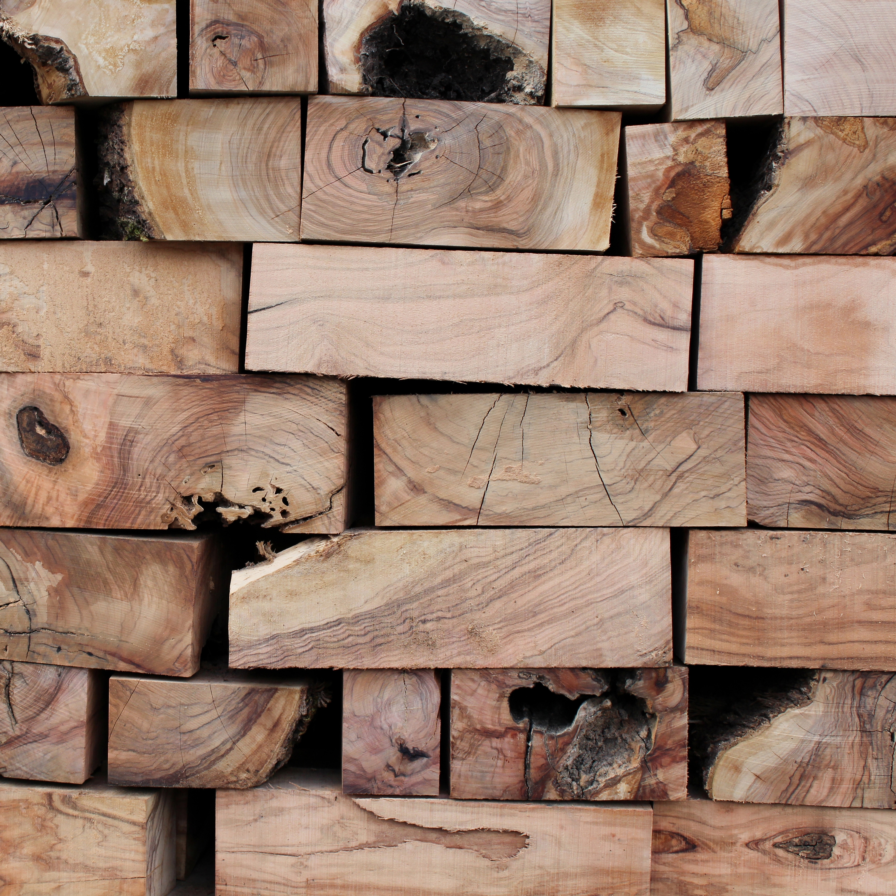 THE OLIVE WOOD COLLECTION