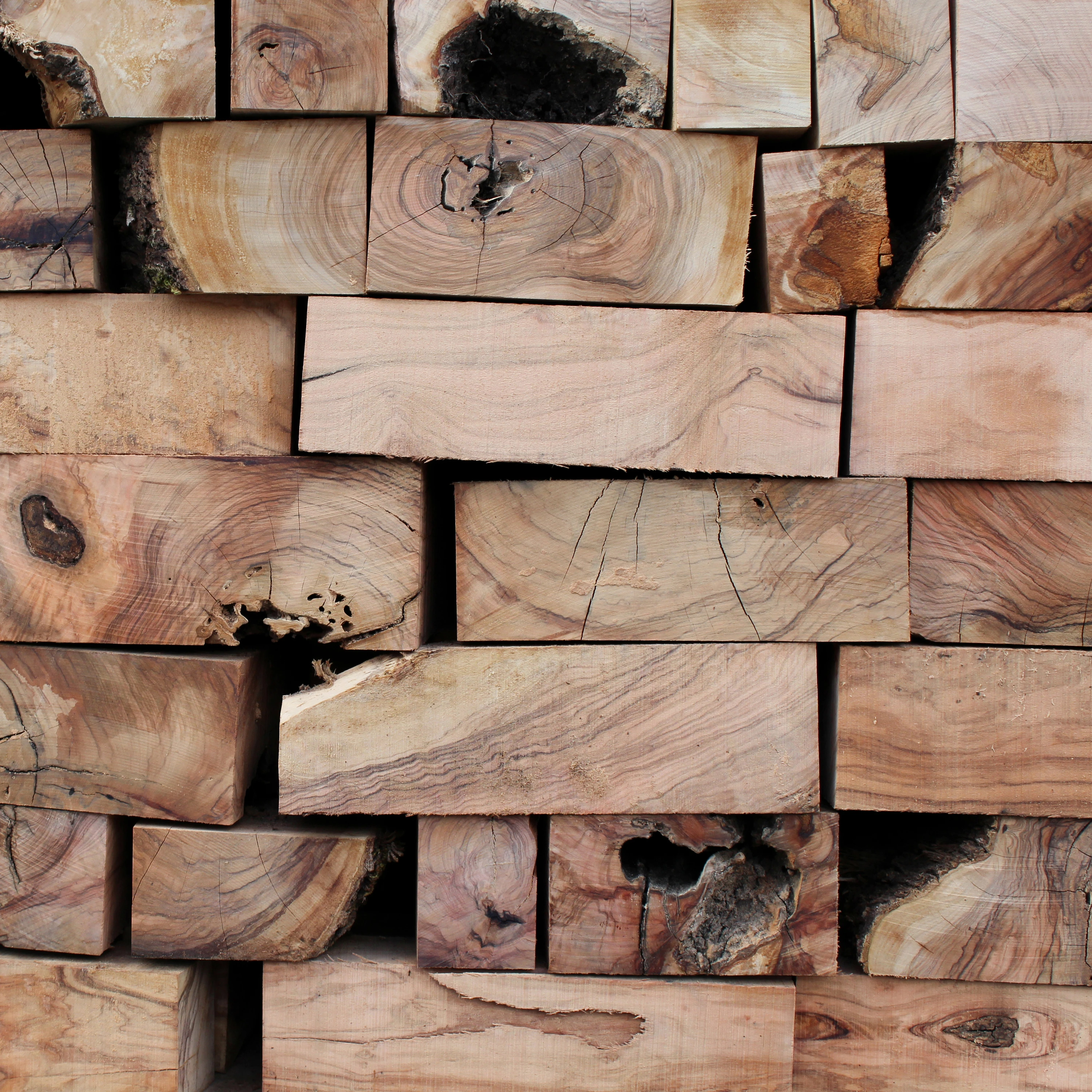 THE OLIVE WOOD COLLECTION