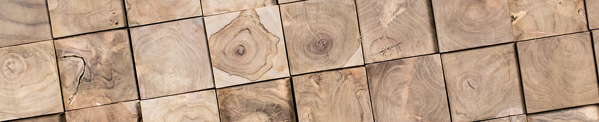 Scopri il mondo del produttore Wonderwall Studios