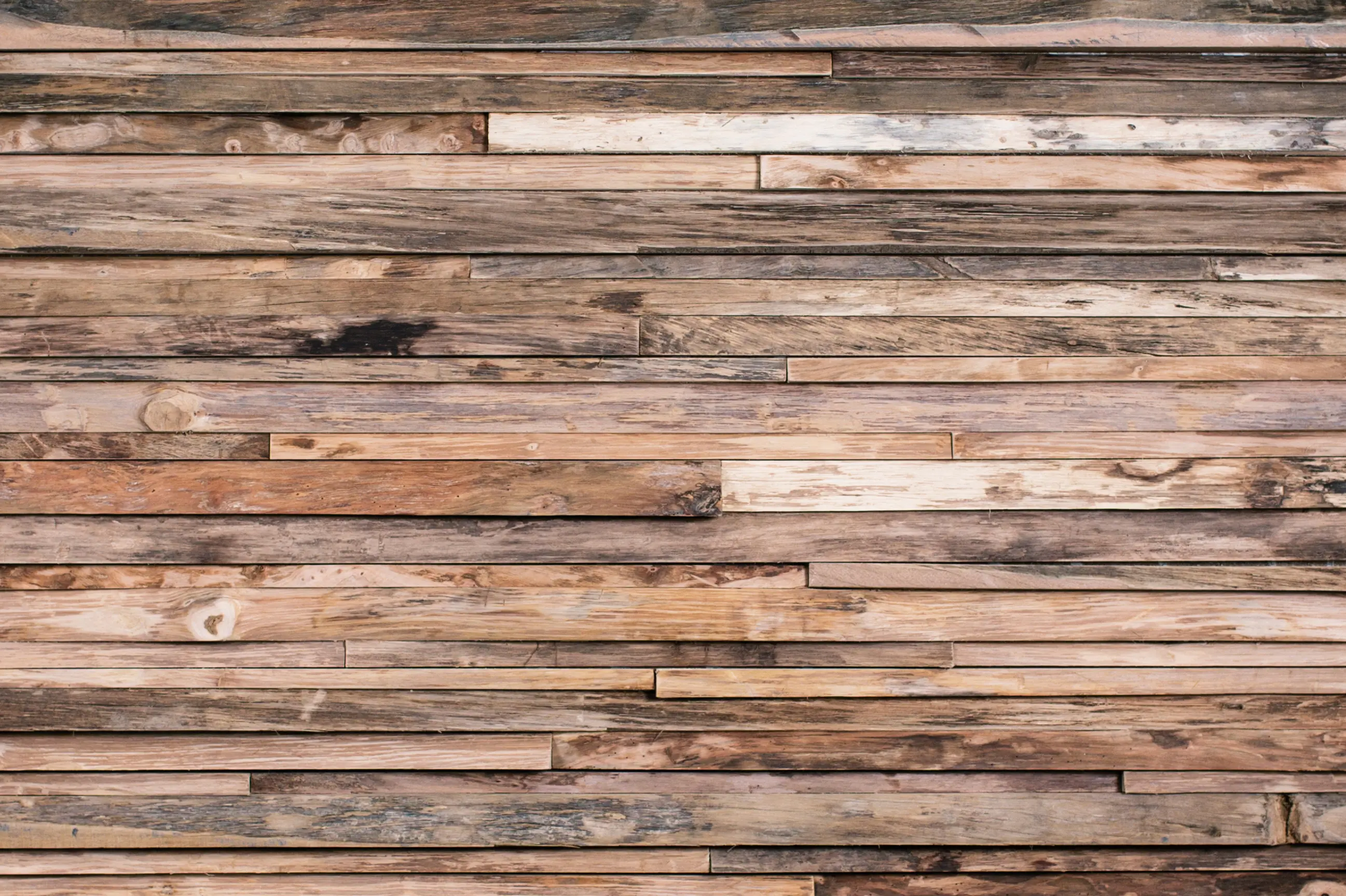 Wonderwall Studios - Gallon