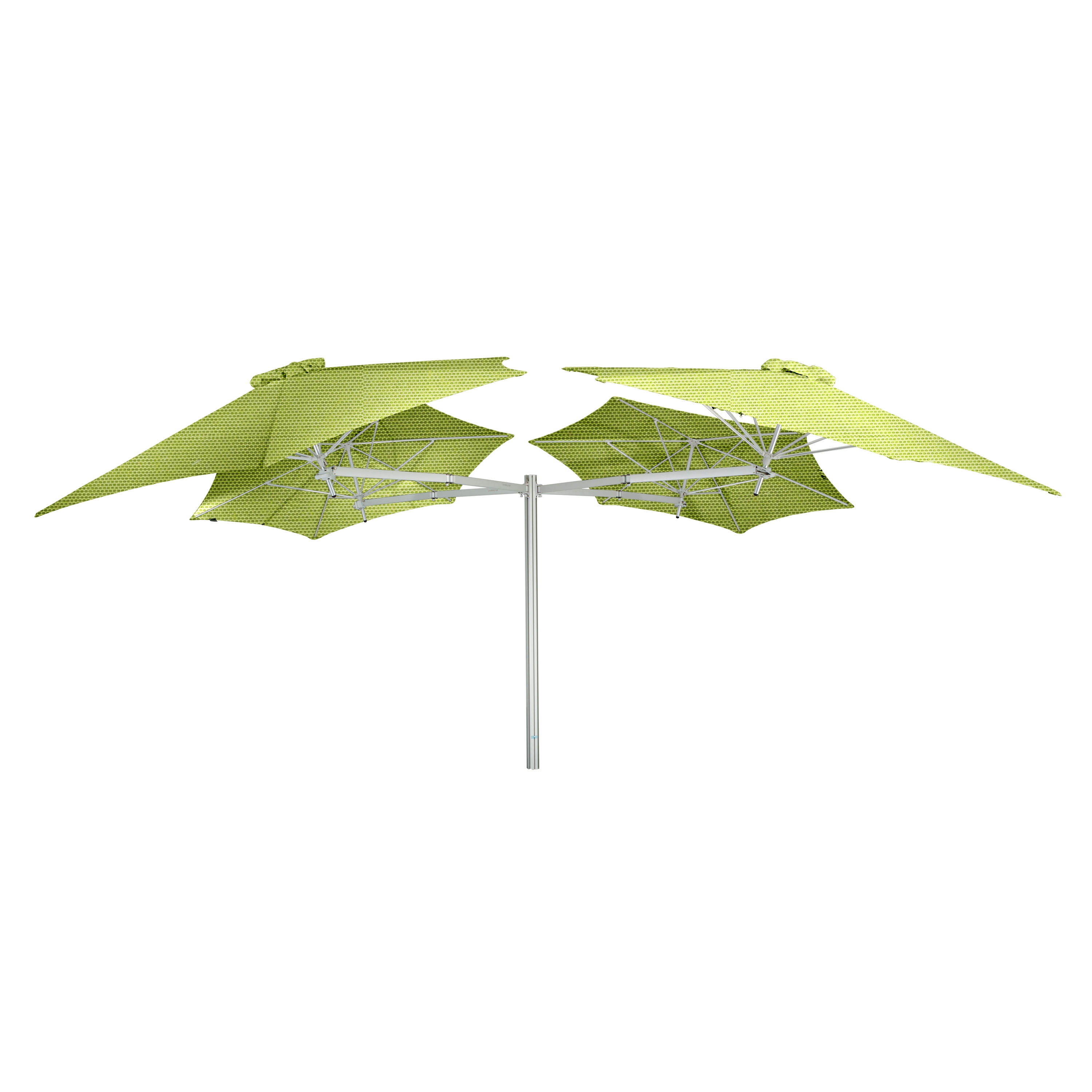 Paraflex Multi quadrato Lichen