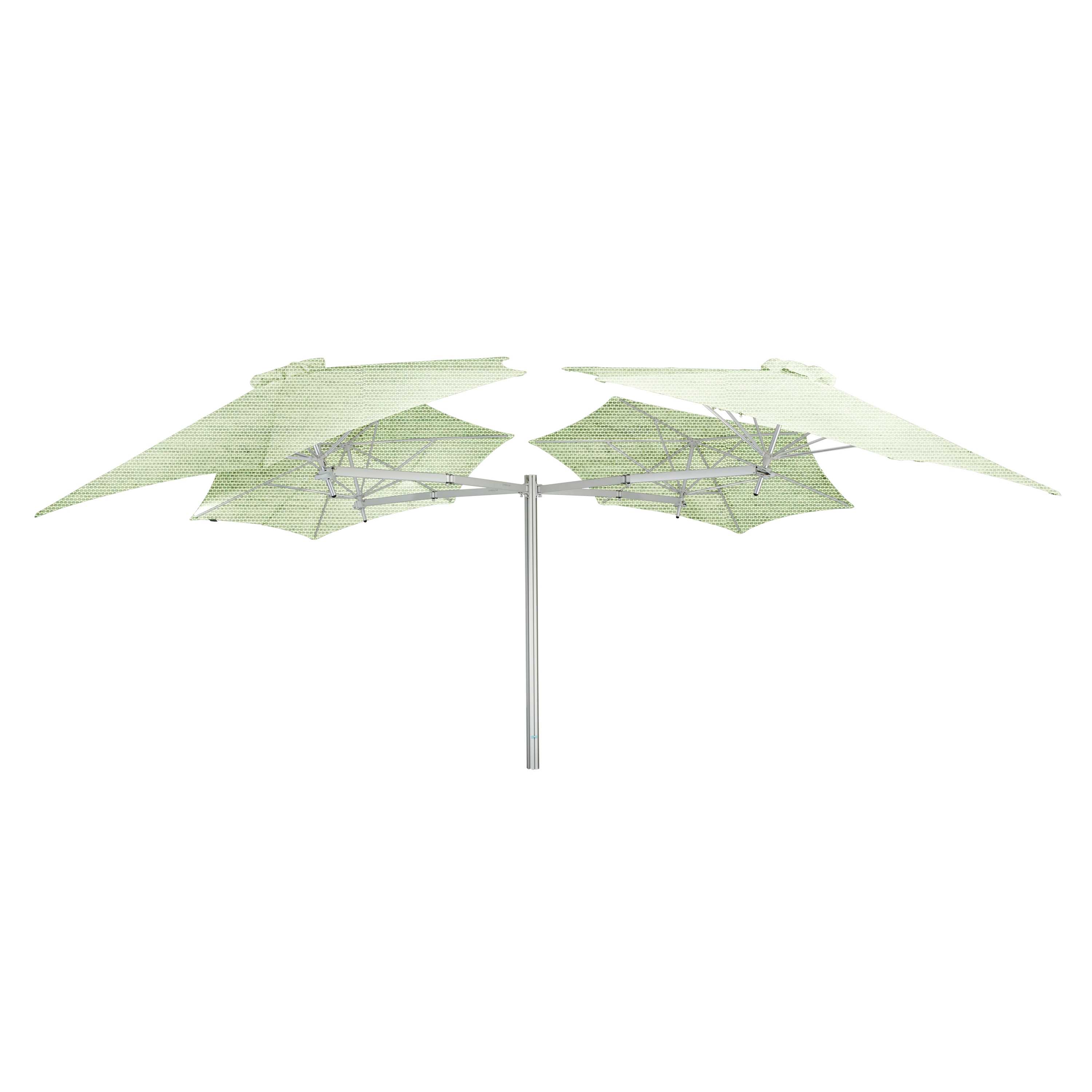 Paraflex Multi quadrato Mint