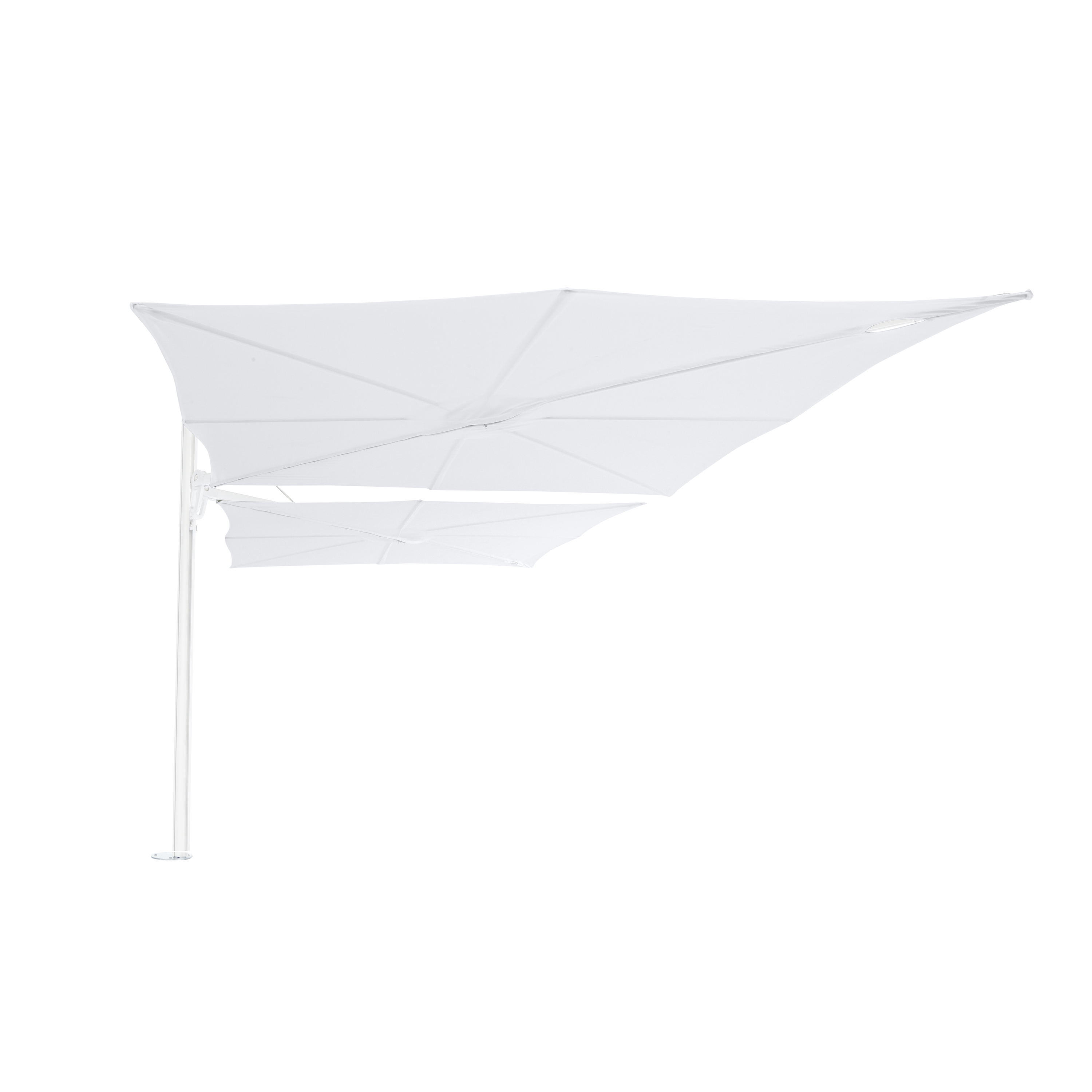 Spectra Duo WHITE Natural