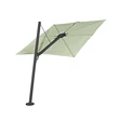 Spectra Forward DUSK Mint