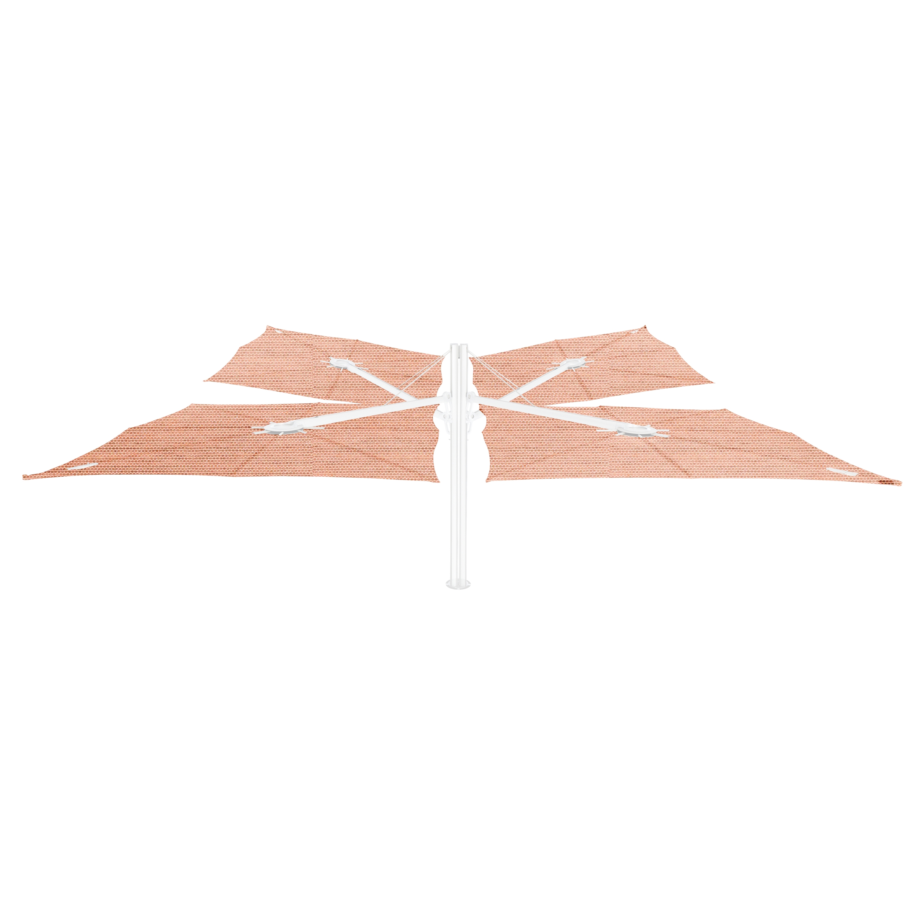 Spectra Multi WHITE Blush