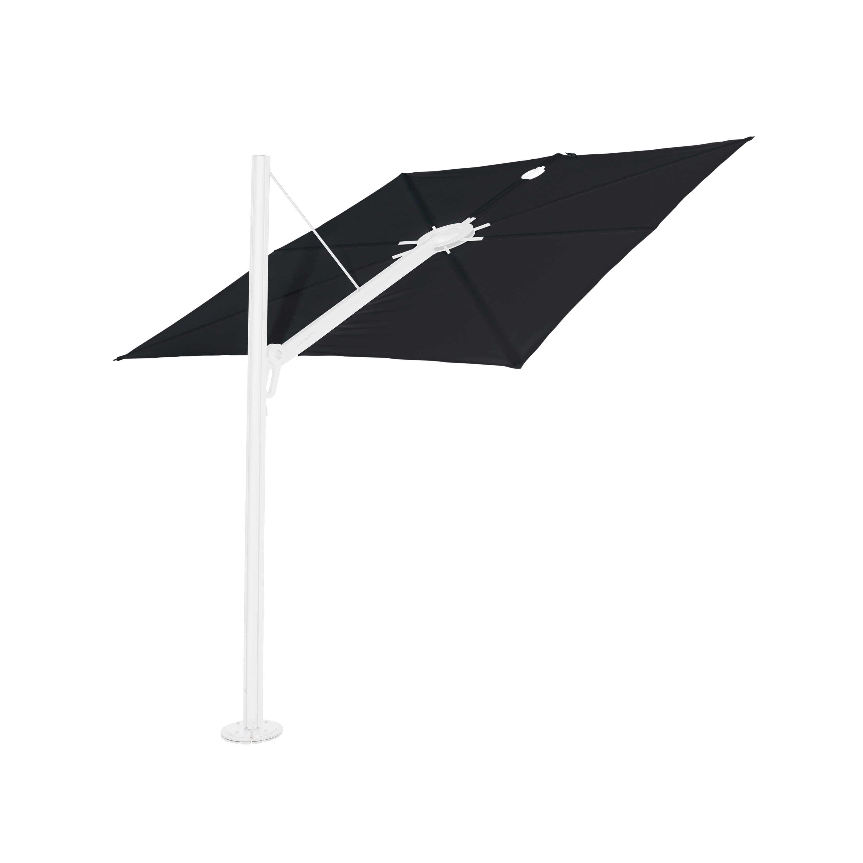 Spectra dritto WHITE Black