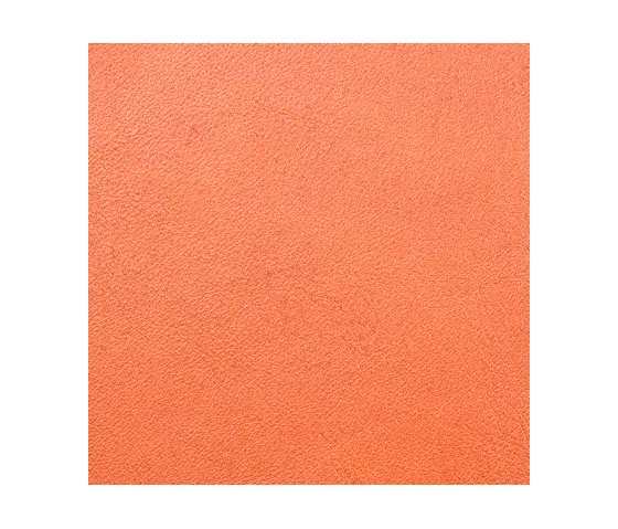 Schauenburg - L1010104
