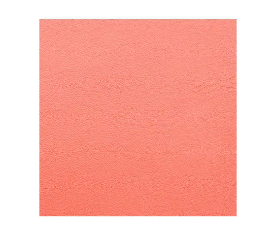 Schauenburg - L1010105