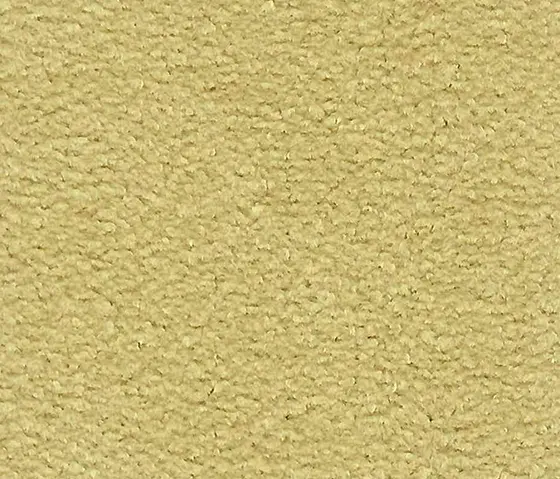 Schauenburg - M20101012