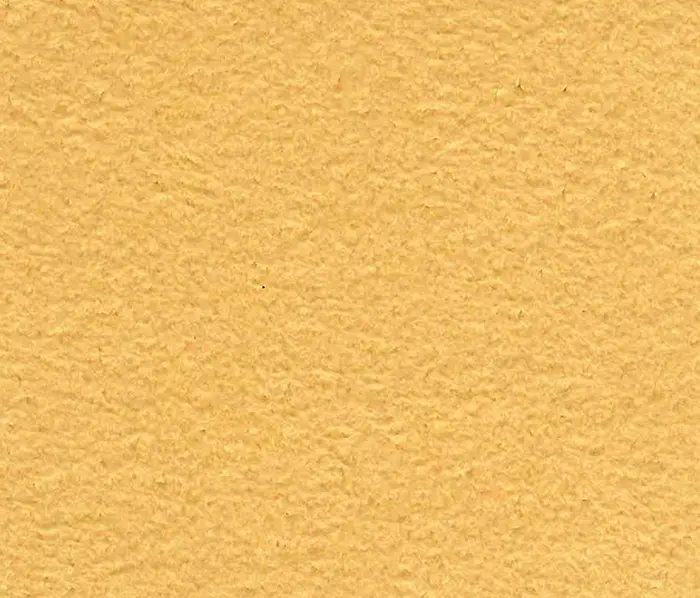 Schauenburg - M20101014