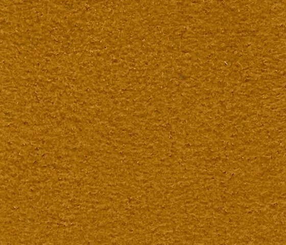 Schauenburg - M20101034