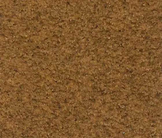 Schauenburg - M20202019