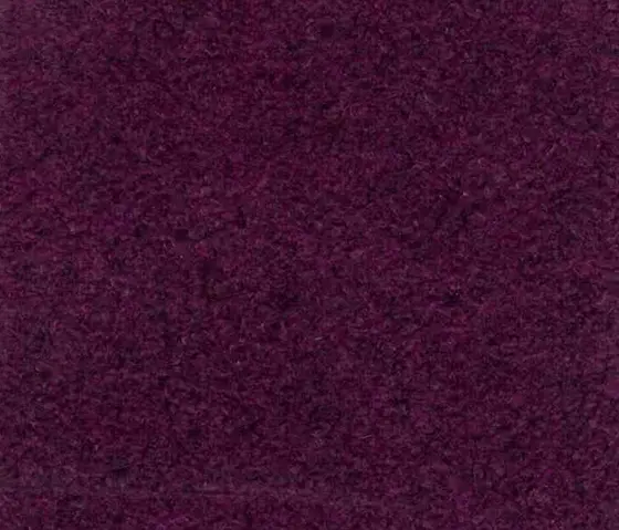 Schauenburg - M20202021