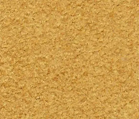 Schauenburg - M20202036