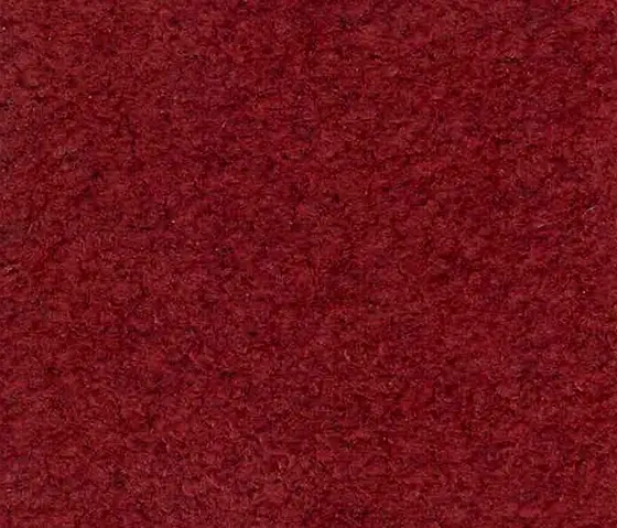Schauenburg - M20202044