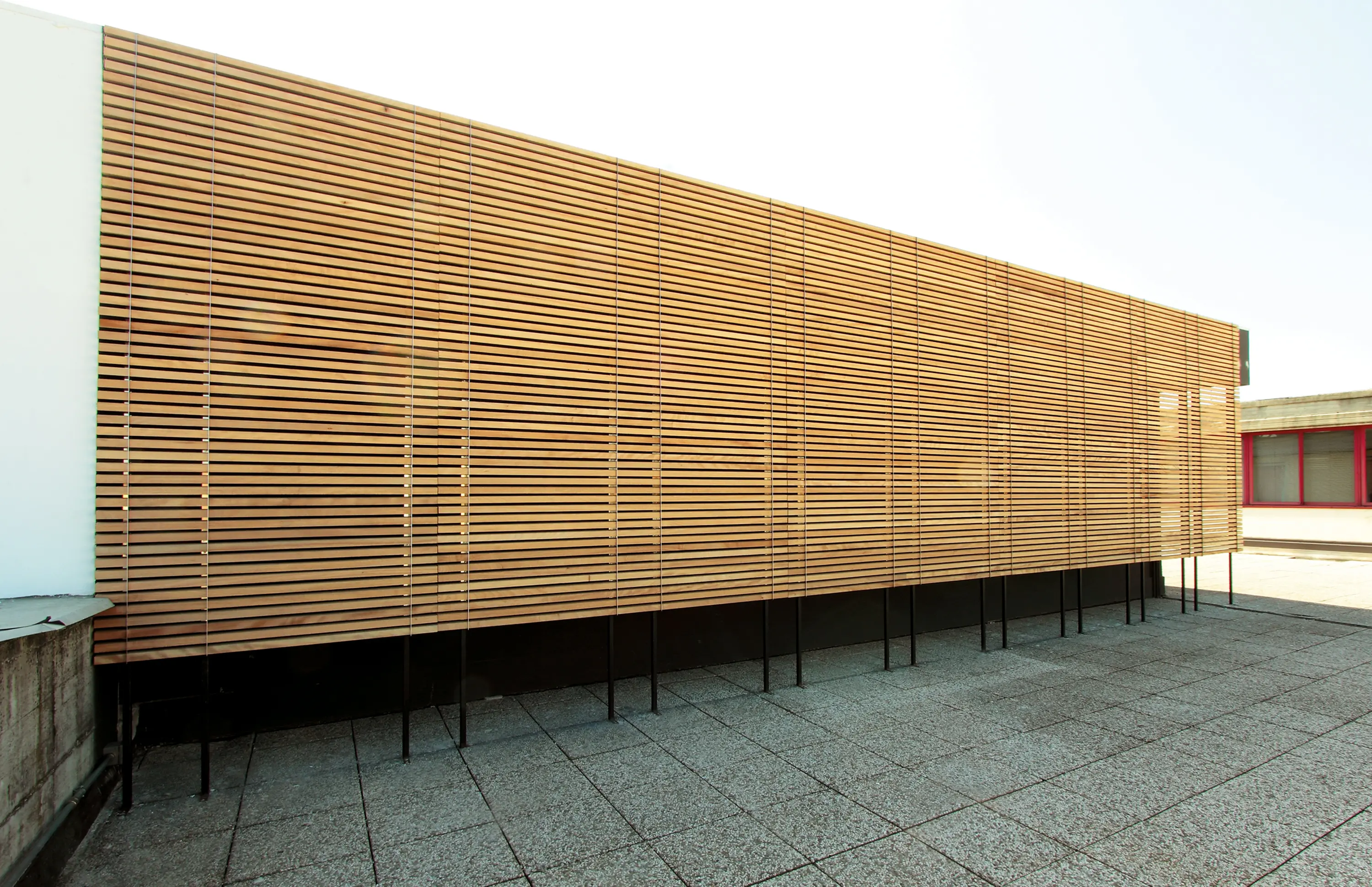 XILO1934 - Xilomoenia Okoumè