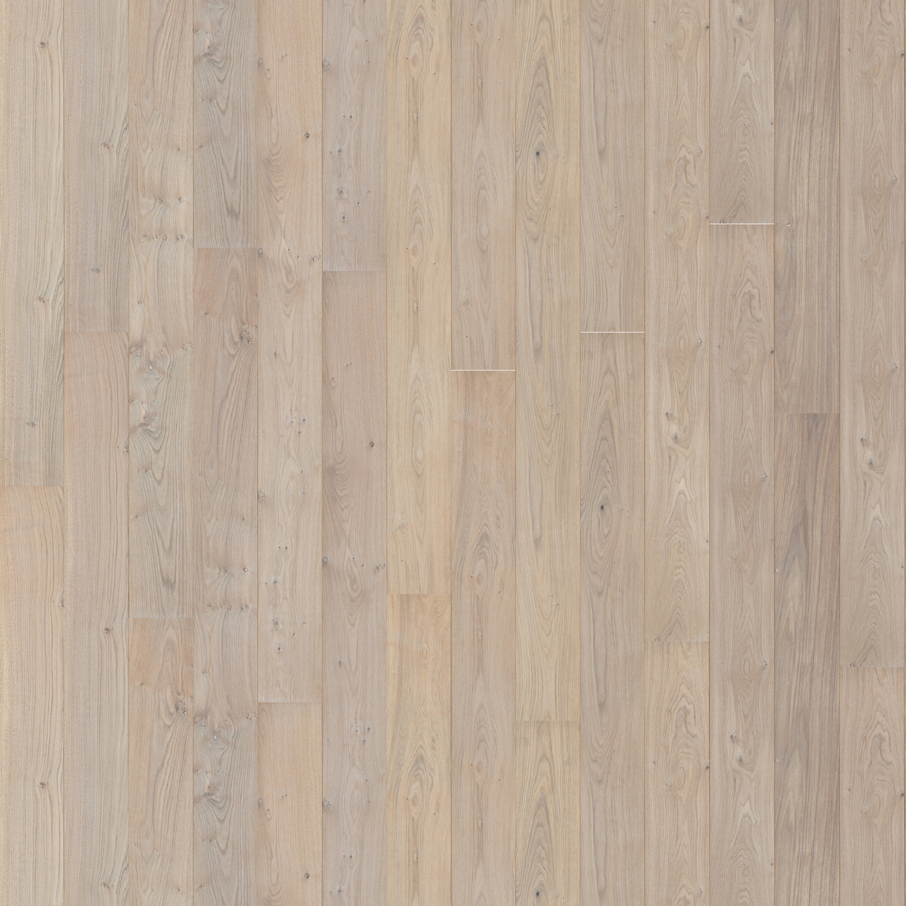 Maxitavole Layout X12