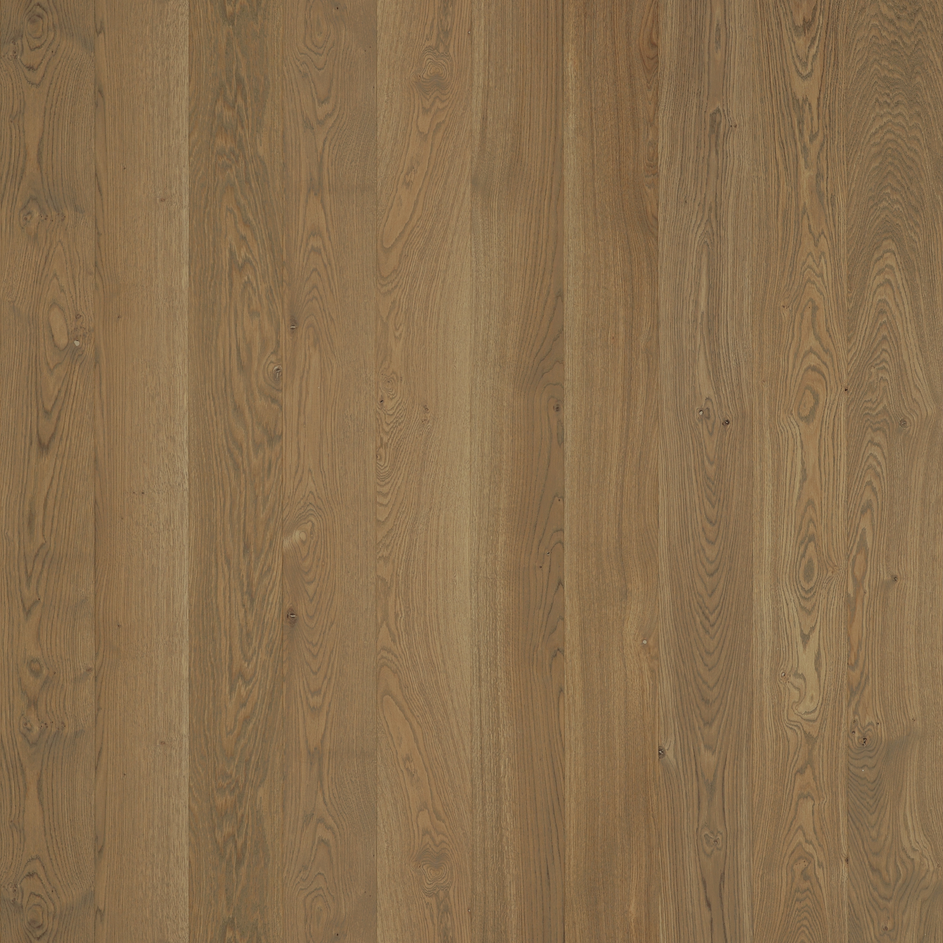 Maxitavole Surfaces A6