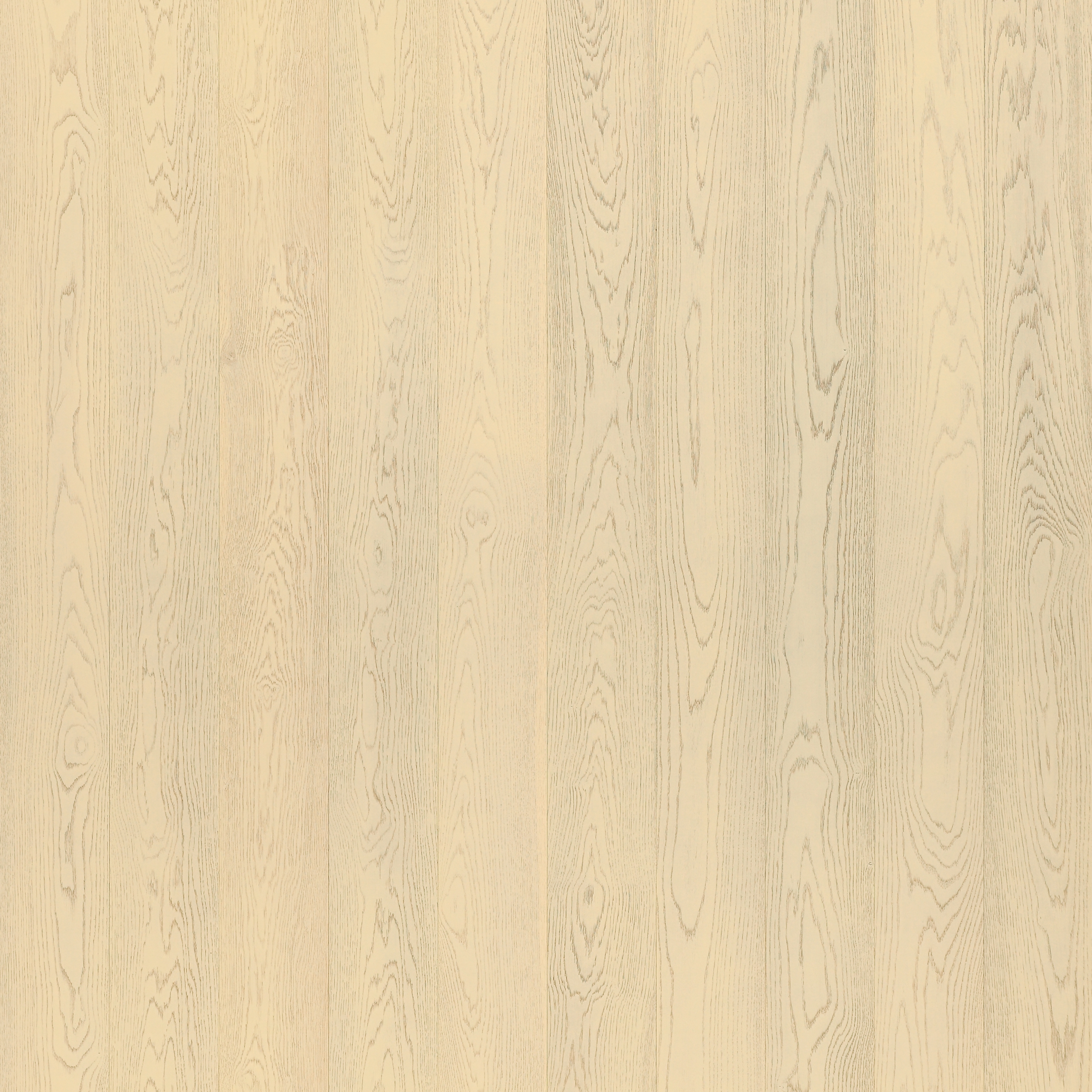 Maxitavole Colours F4