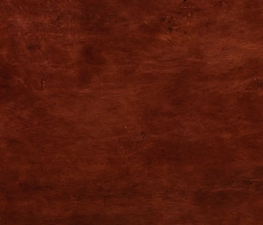 strasserthun. - Bark | acoustic panel