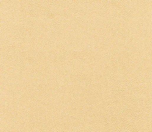 Anzea Textiles - Buckaroo