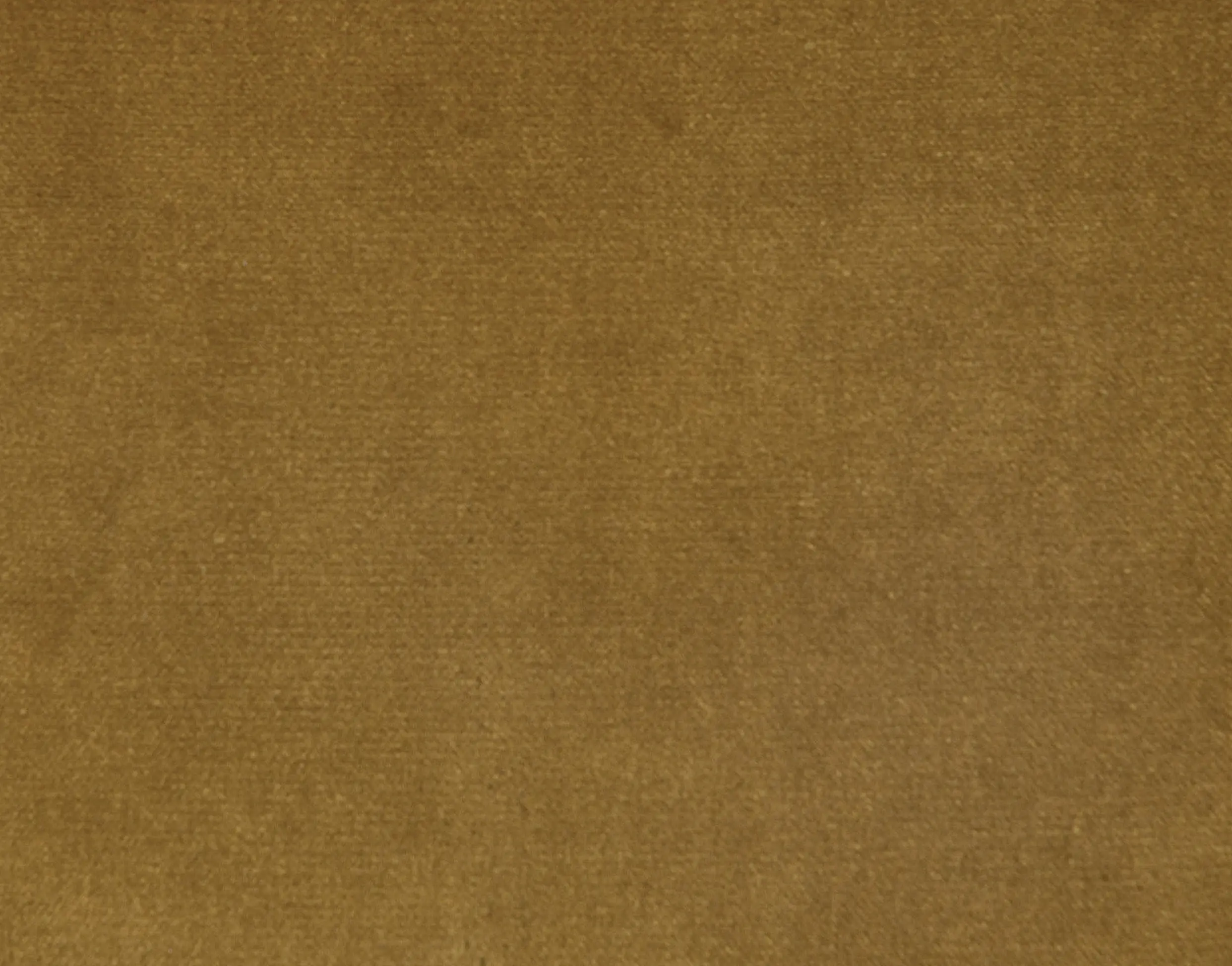 Anzea Textiles - Lafayette | Carnegie