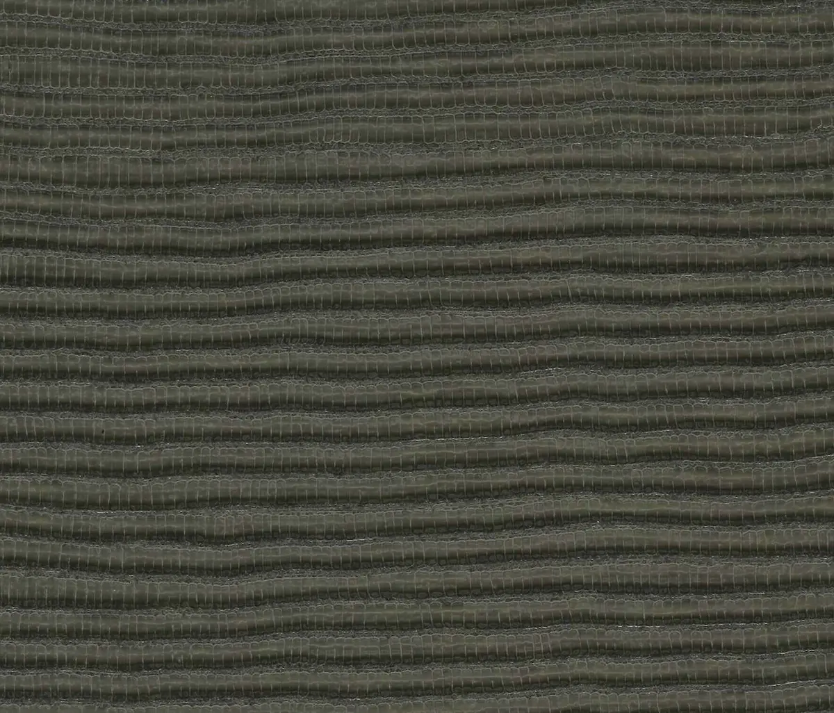 Anzea Textiles - Lizzy Lizard | Sage Brush