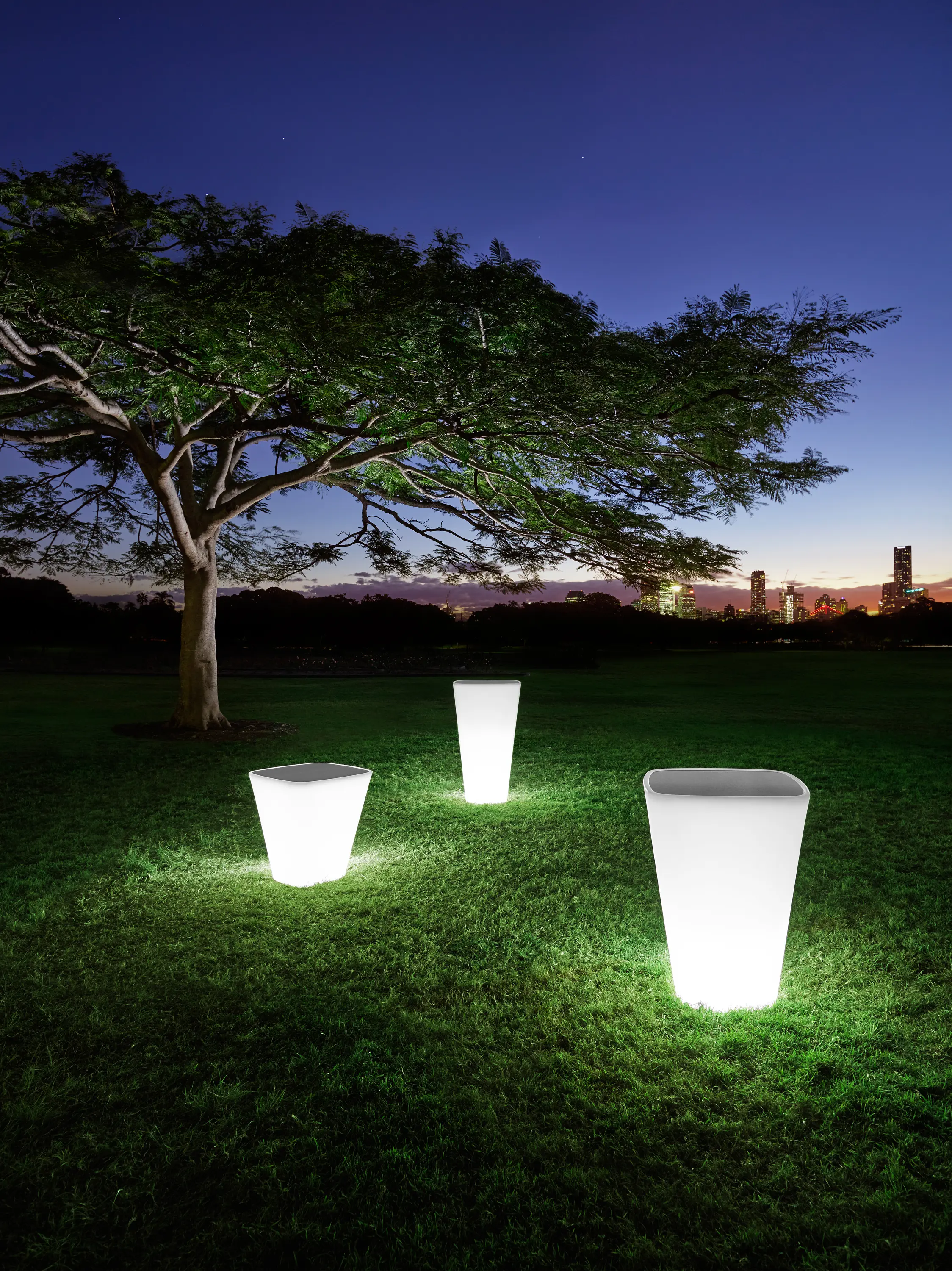 Derlot - Kono, Planter
