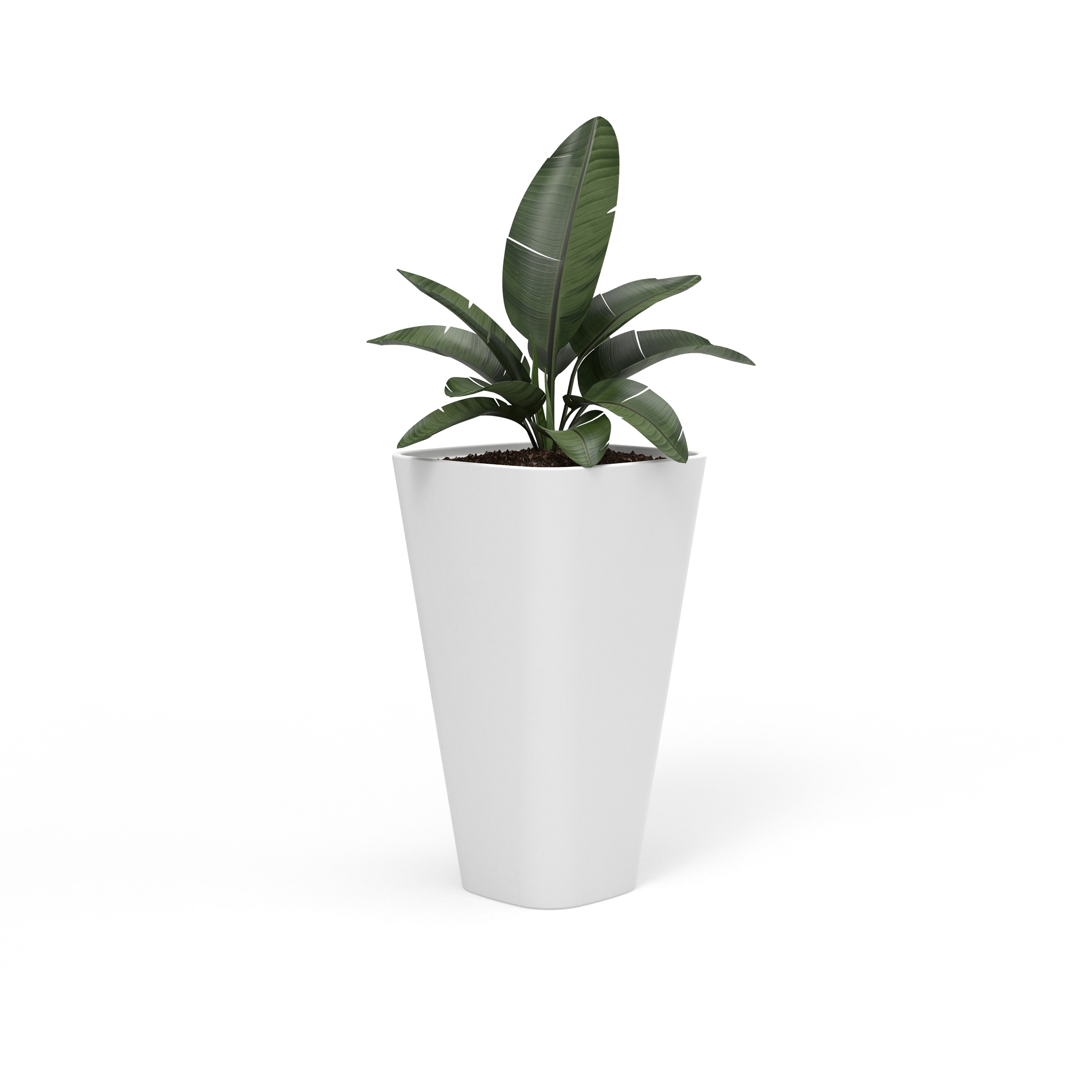 Display product Kono, Planter from manufacturer Derlot