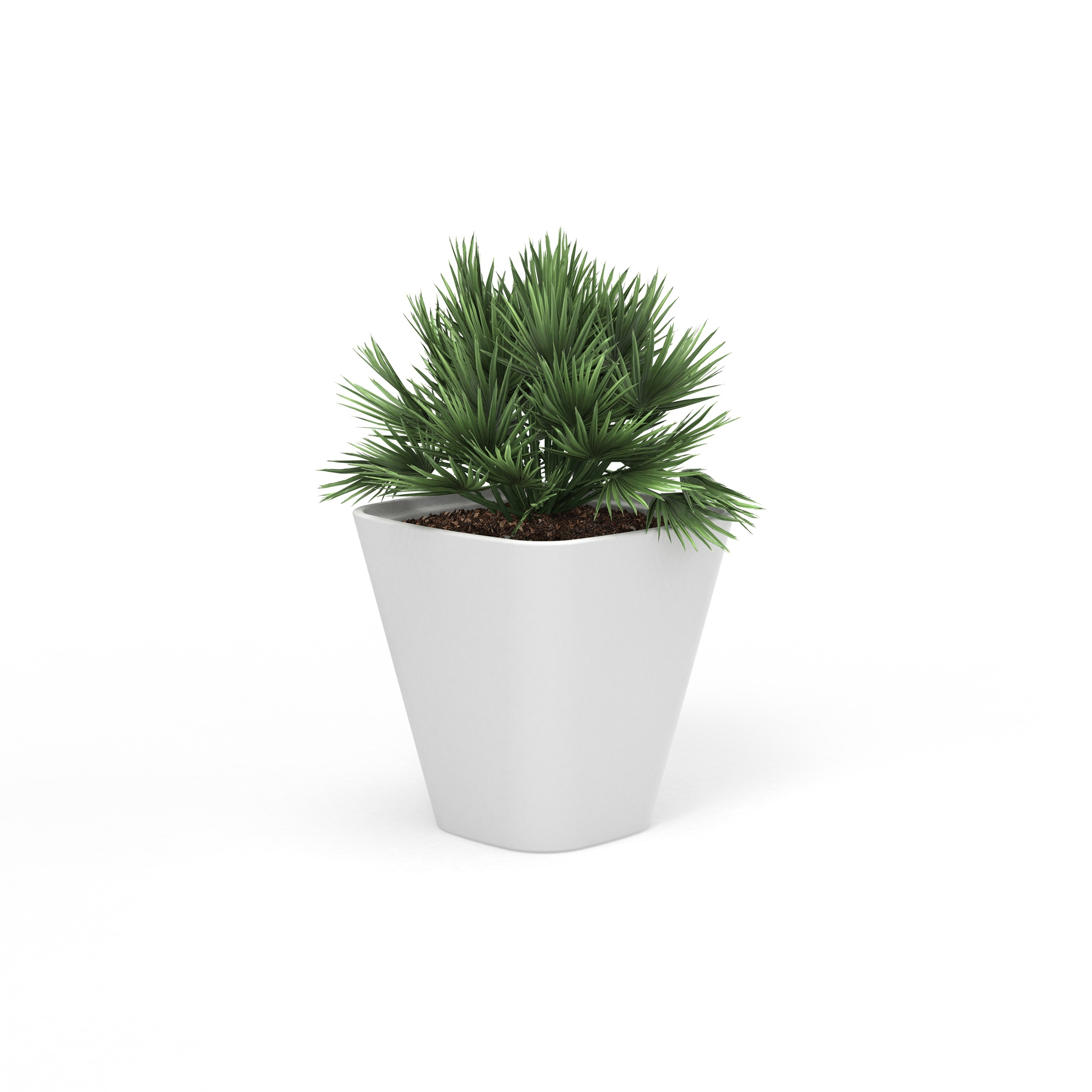Afficher le produit Kono, Planter du fabricant Derlot