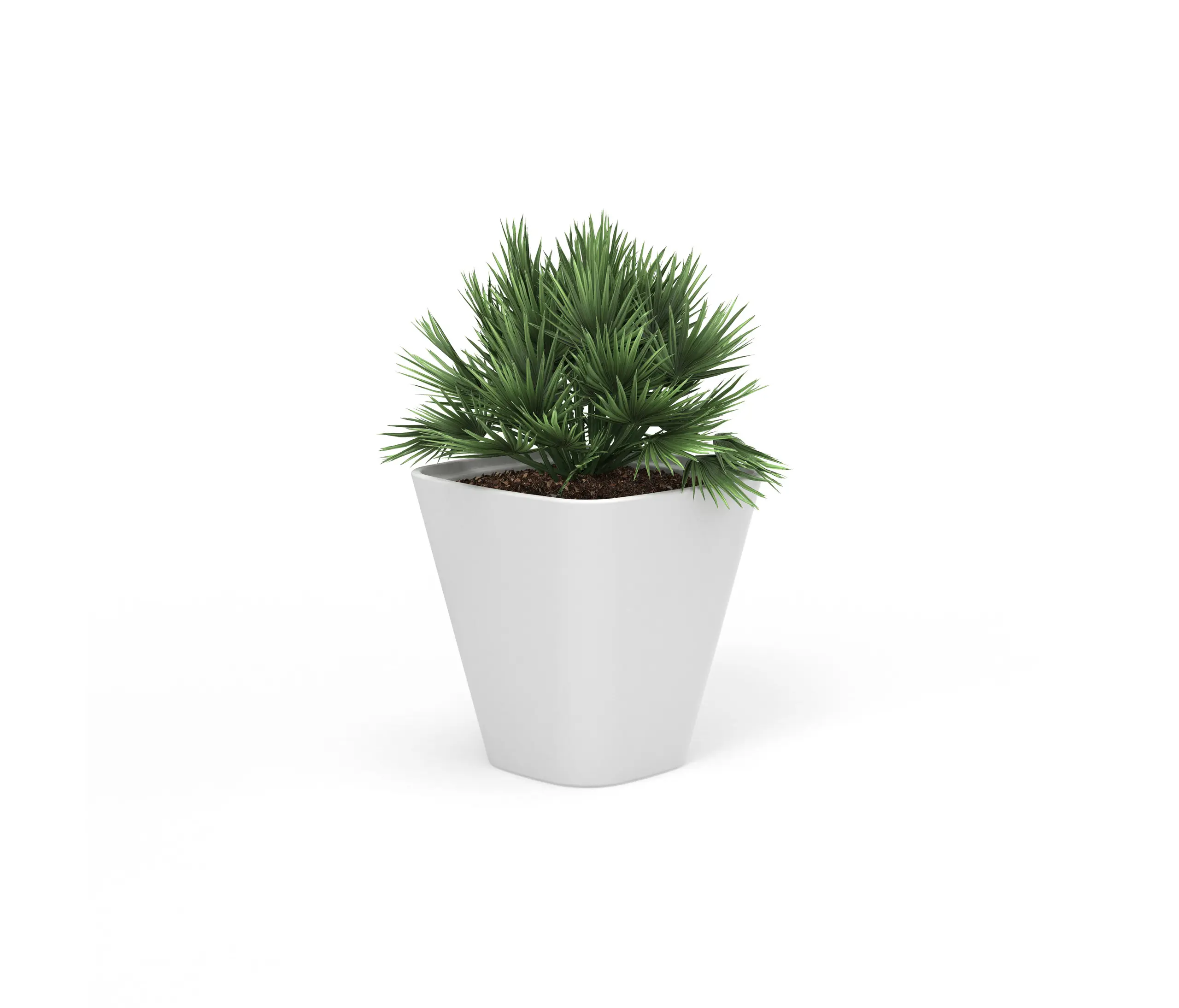 Derlot - Kono, Planter