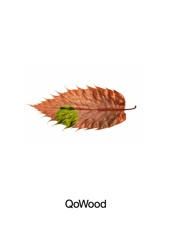 Preview image for the file QoWood 2017