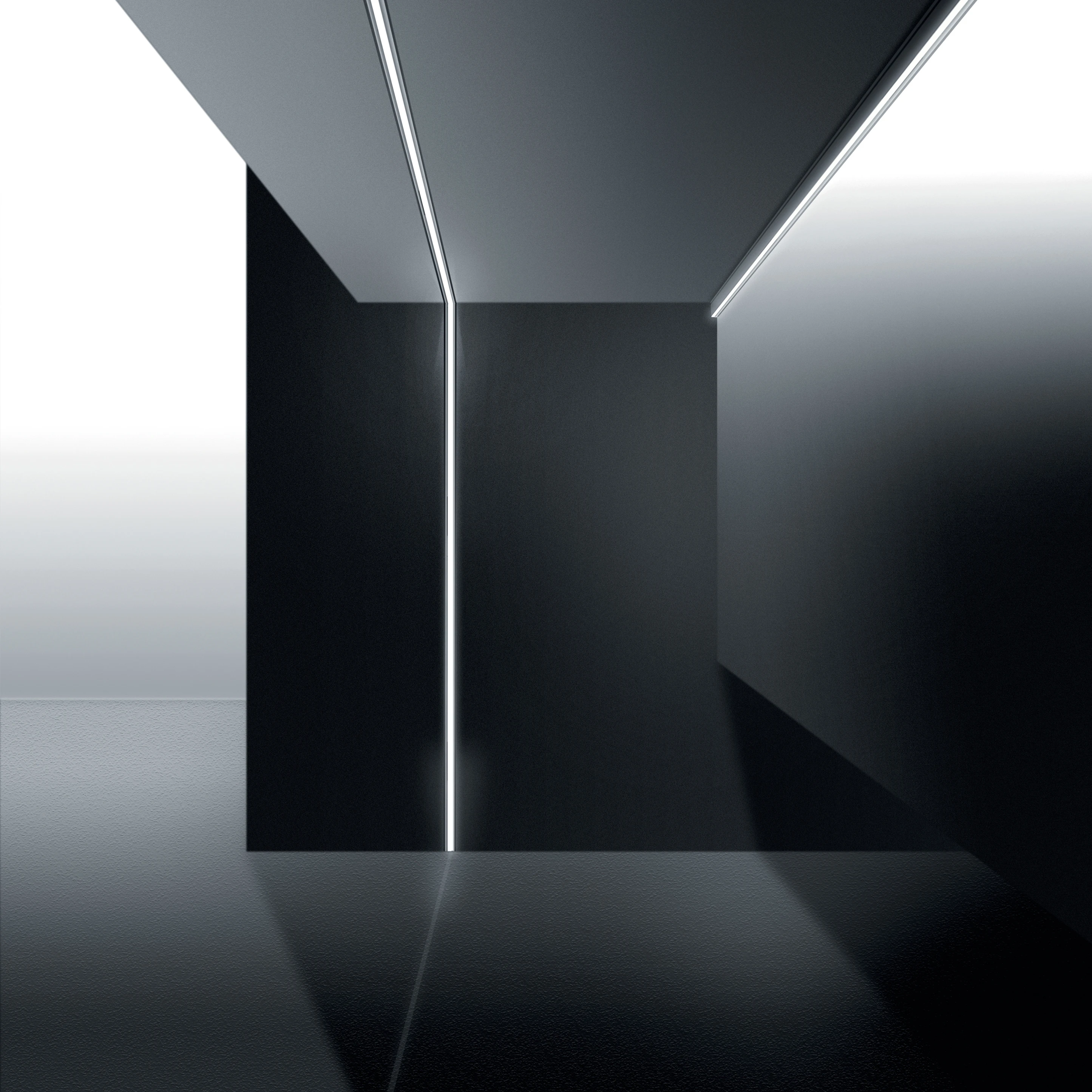 EFECTO LINEAR