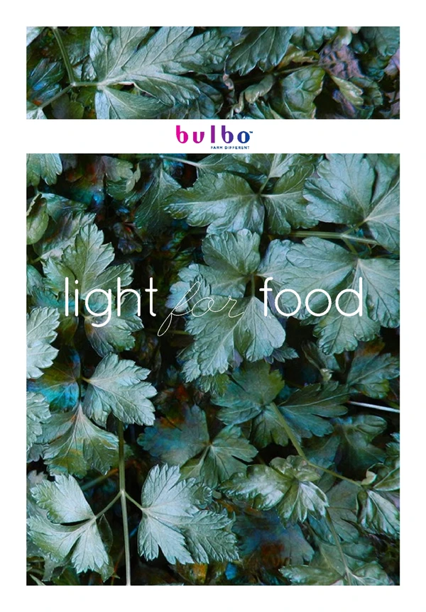 Vorschaubild für die Datei Light for food 2014