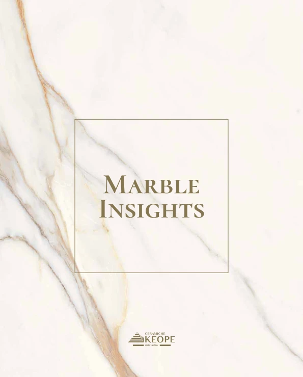 Imagen de vista previa del archivo MARBLE INSIGHTS