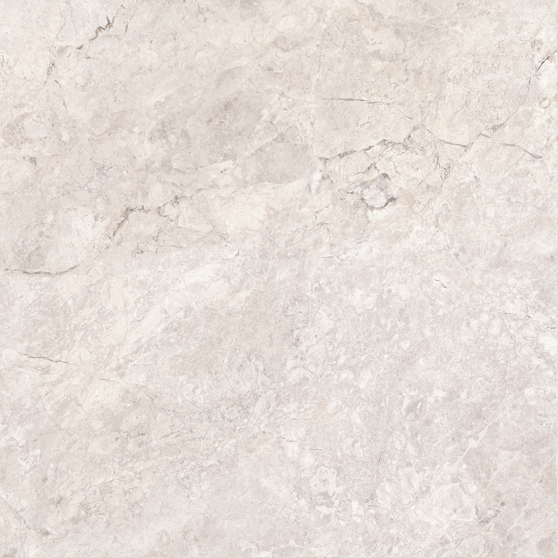 Omnia | Emperador White