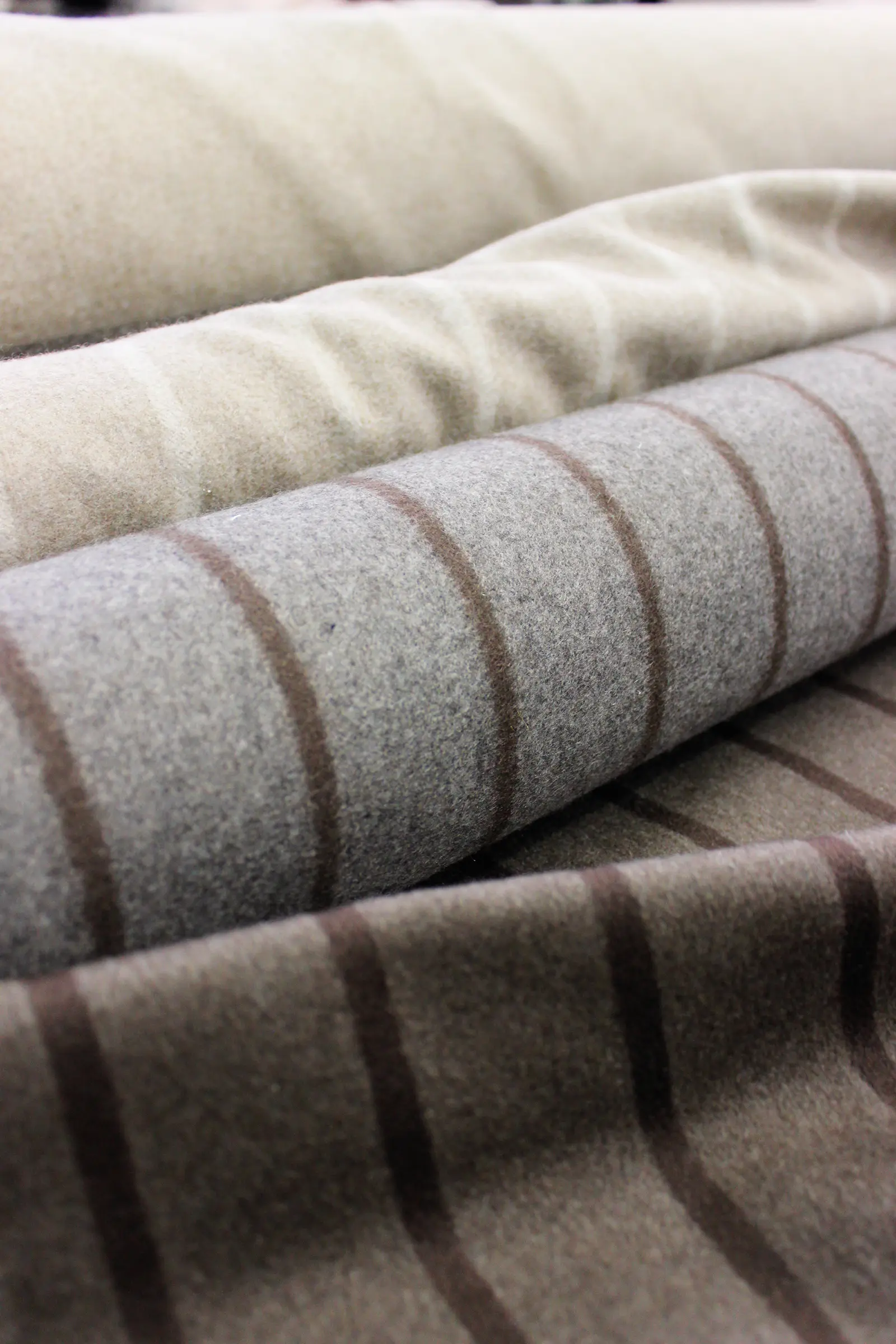 Longhi S.p.a. - Gordon