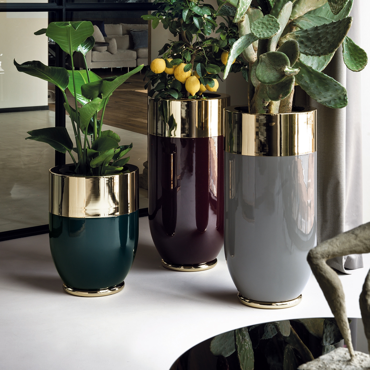 Display product Godwin from manufacturer Longhi S.p.a.