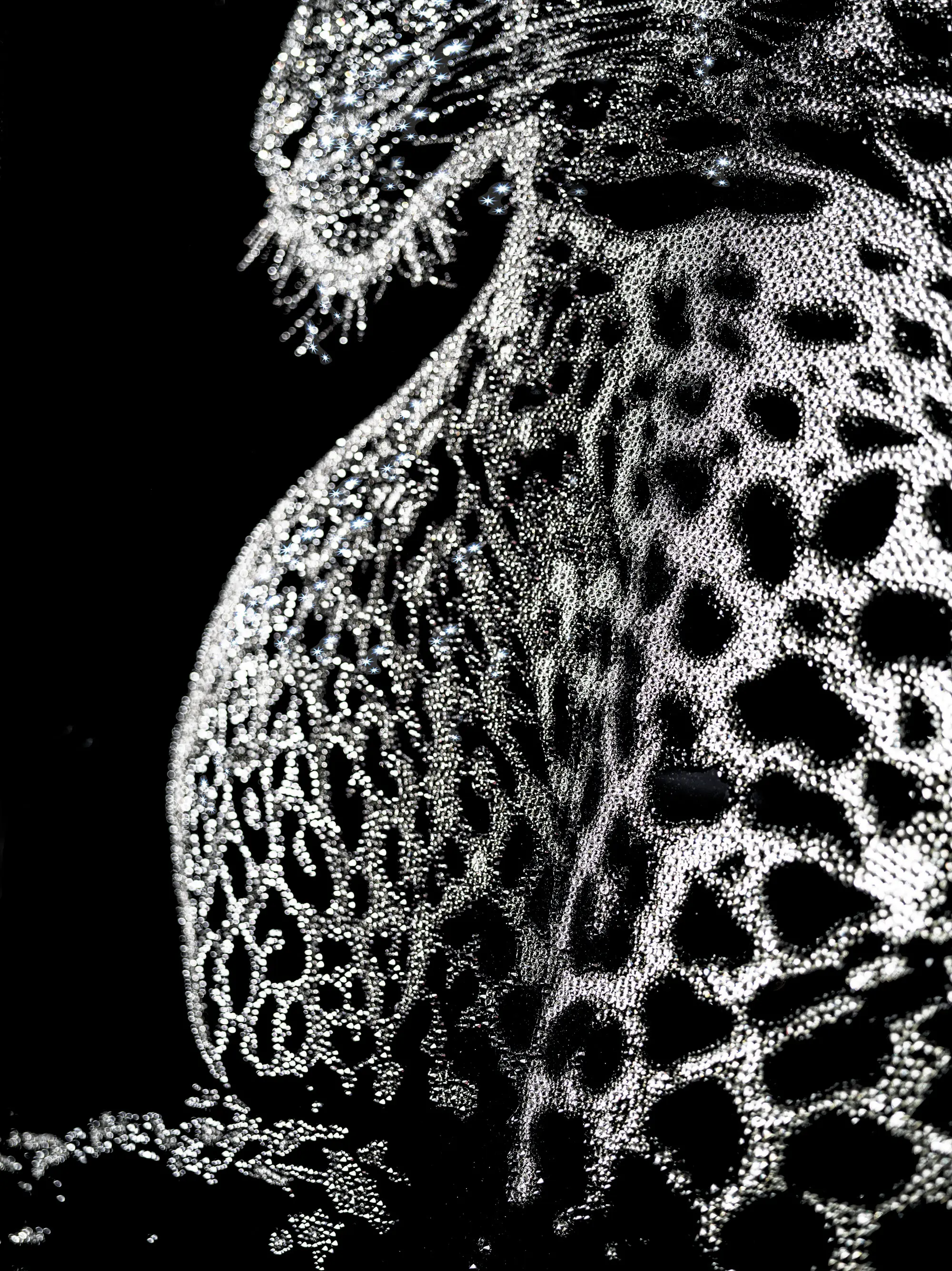 Longhi S.p.a. - Swarovski® paintings