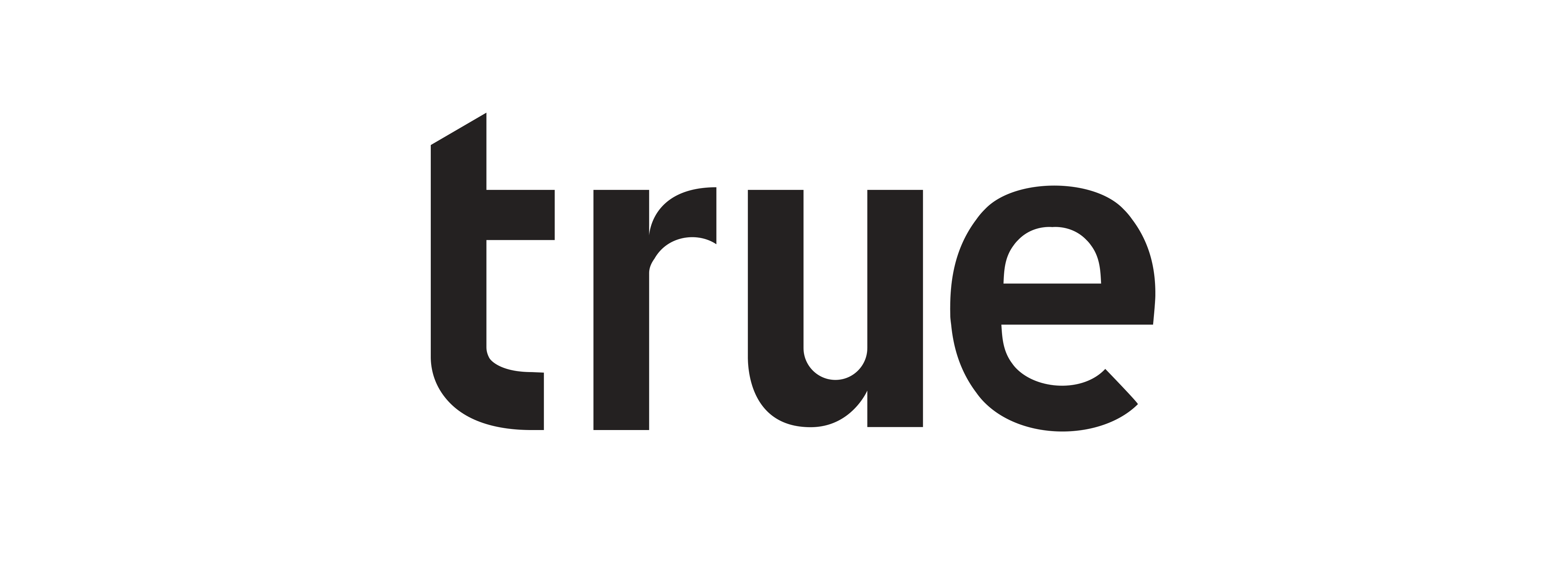Logo for manufacturer True Design