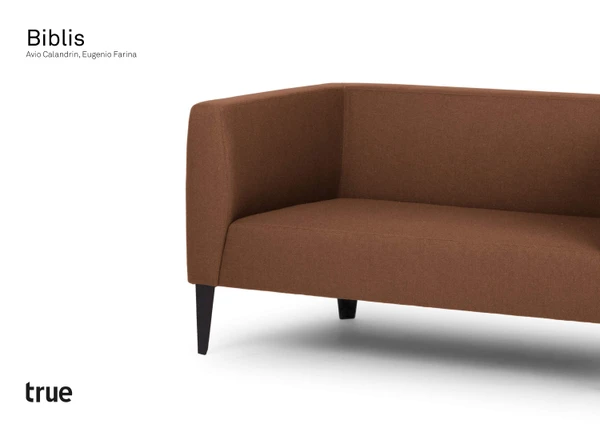 Immagine di anteprima del file Biblis